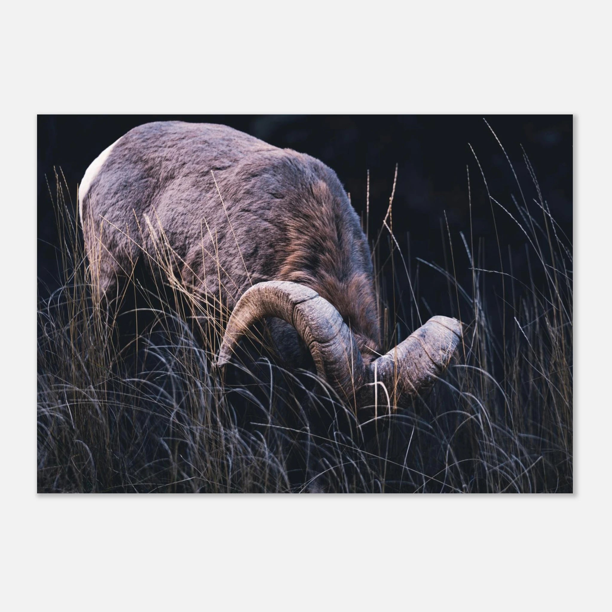 4ca8281b-a24d-4fc2-b9a6-d69e50220026