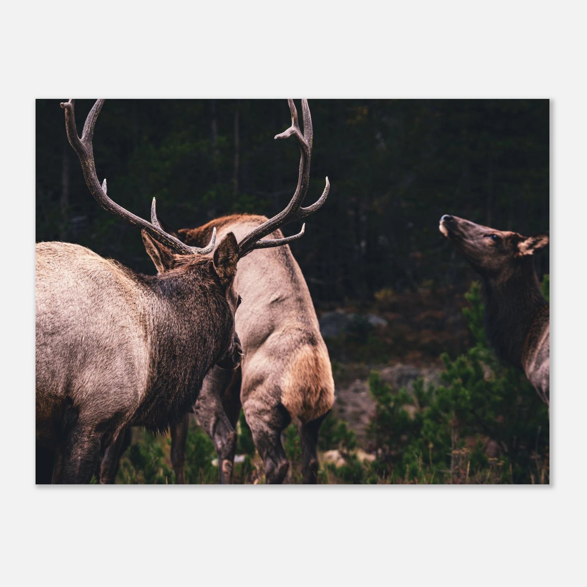 4cd6e654-e9a3-43b1-802c-385ba6dc4015