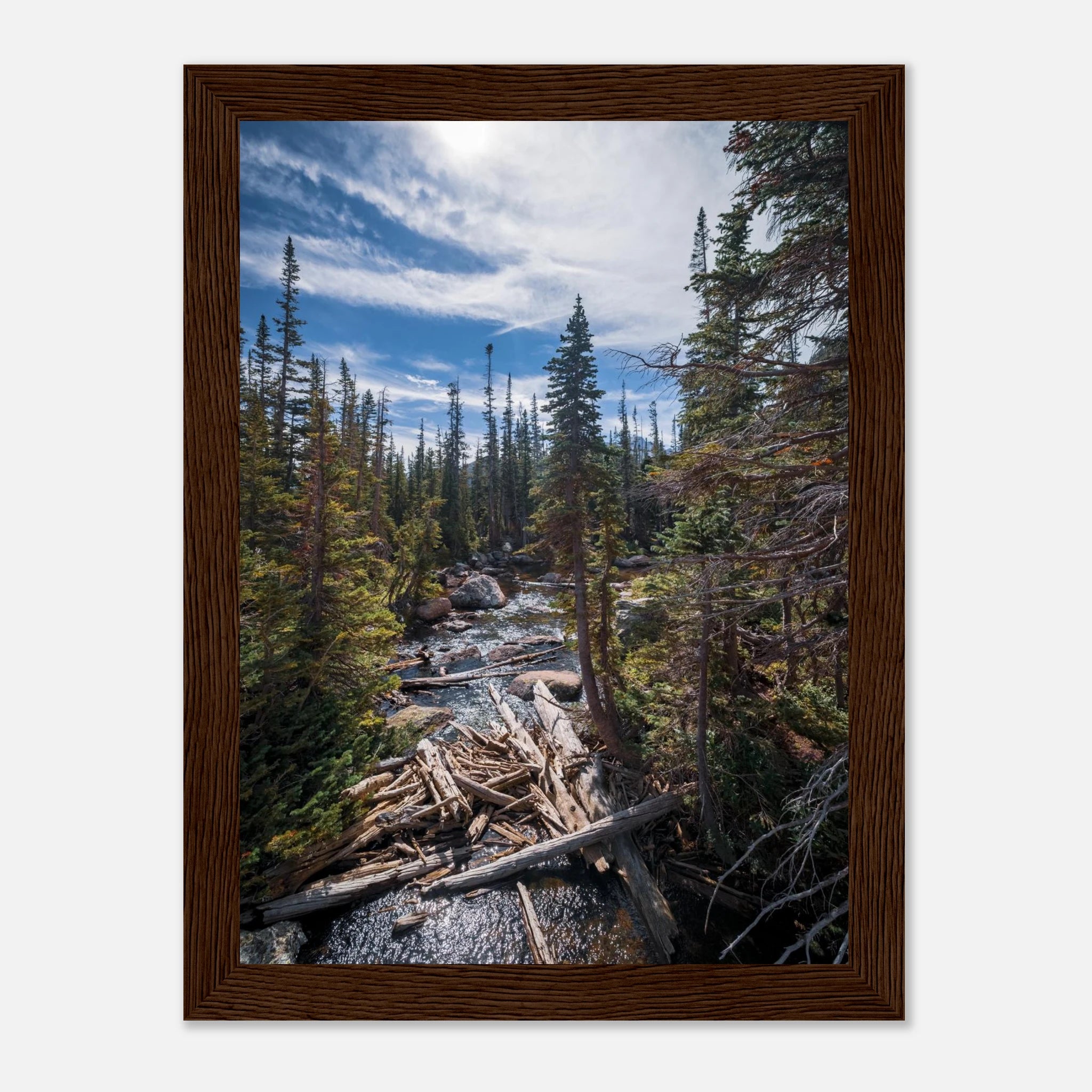 4d054e87-2110-4325-8da3-c412761b2d1d