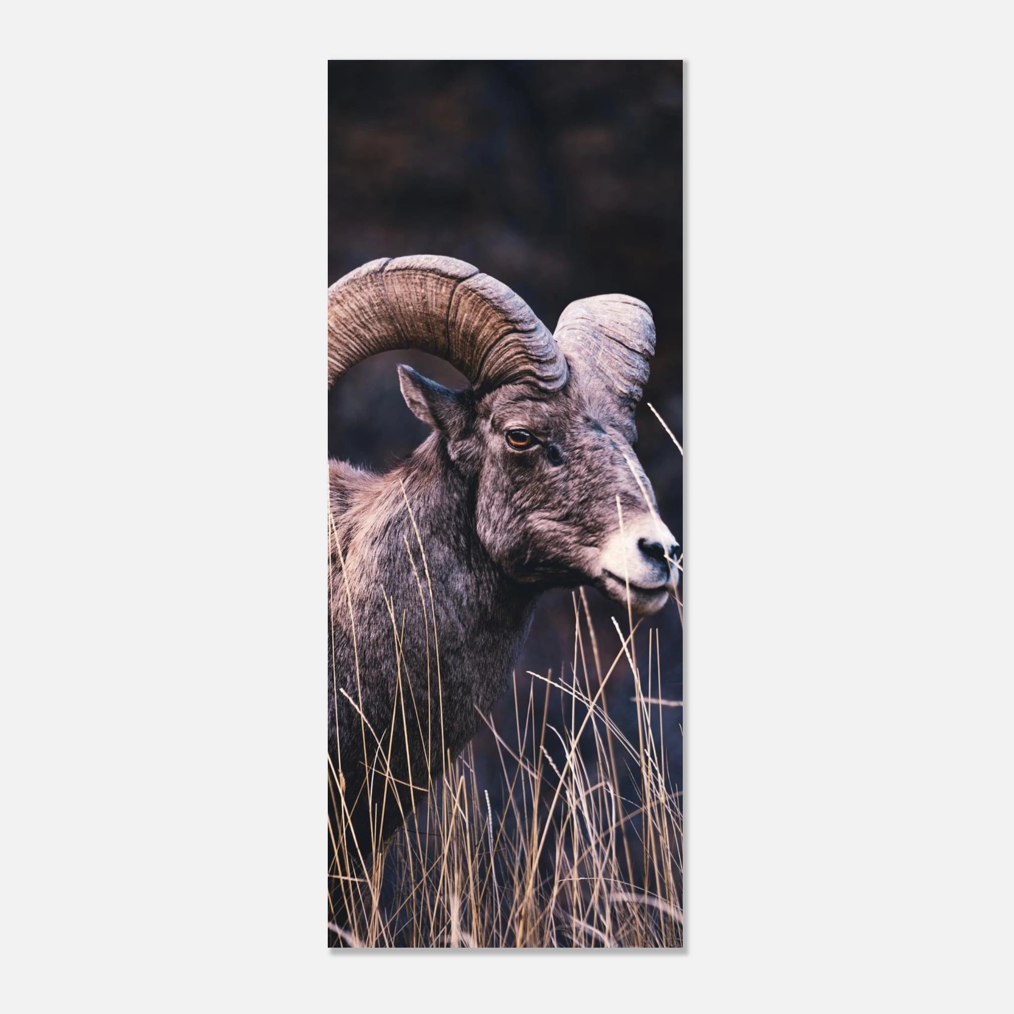 4de7c6a9-137c-4634-898c-717f9333c703