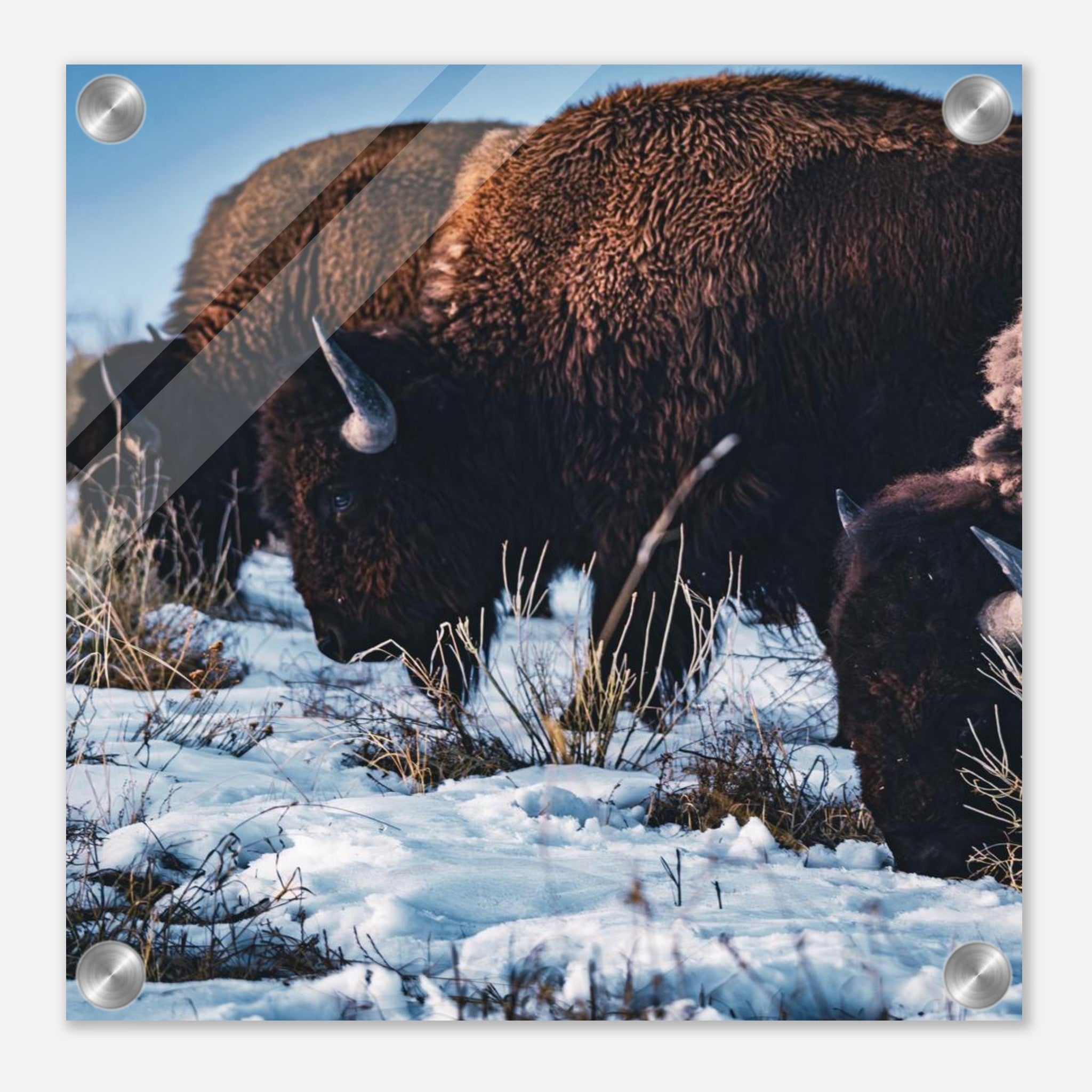 4f38e4a7-d443-488f-8832-8126cd401667