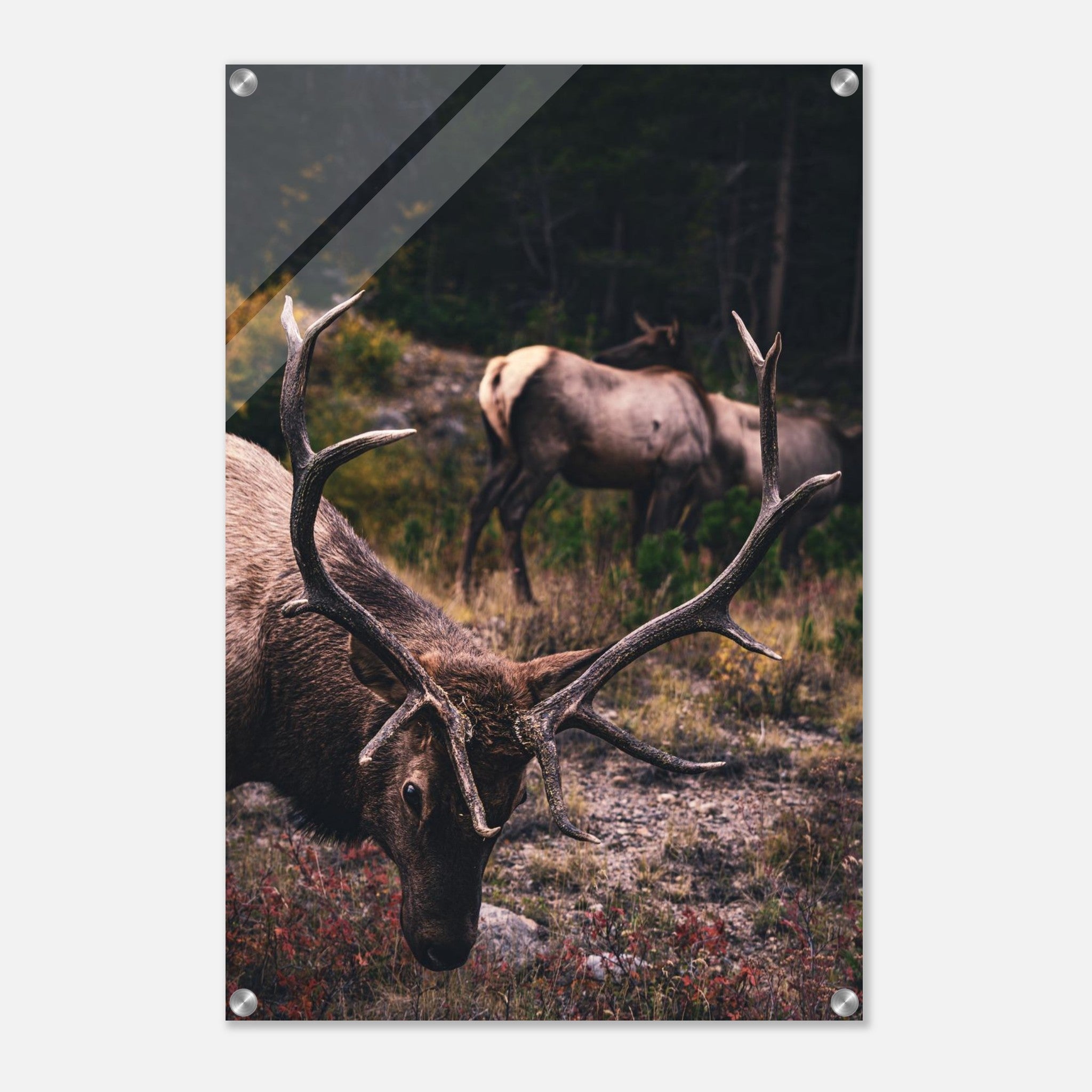 4f6873d1-7e89-4cef-ae3a-7133dc9a7cbf