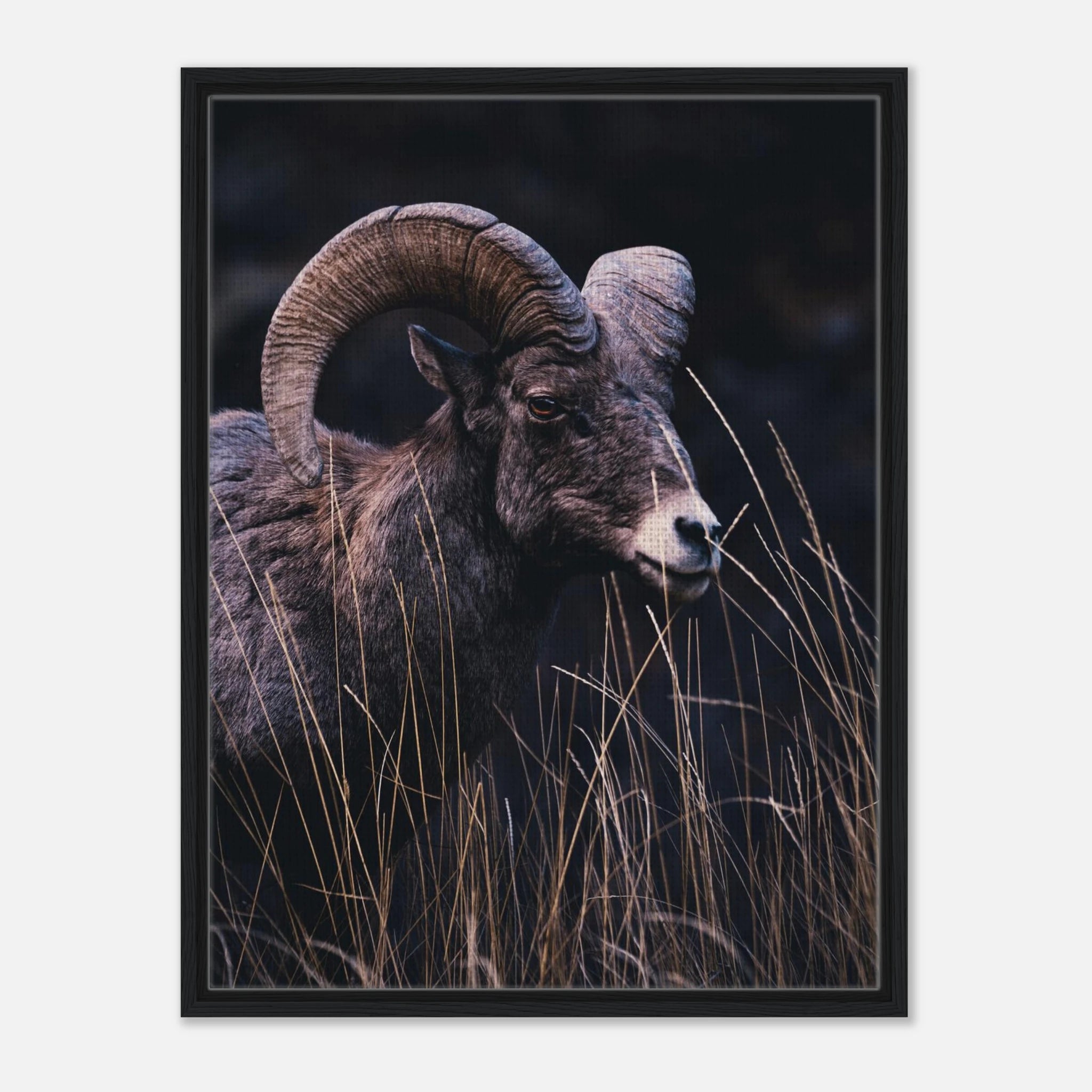 5069b20c-baa9-49d2-af13-8c2849ecb9d5