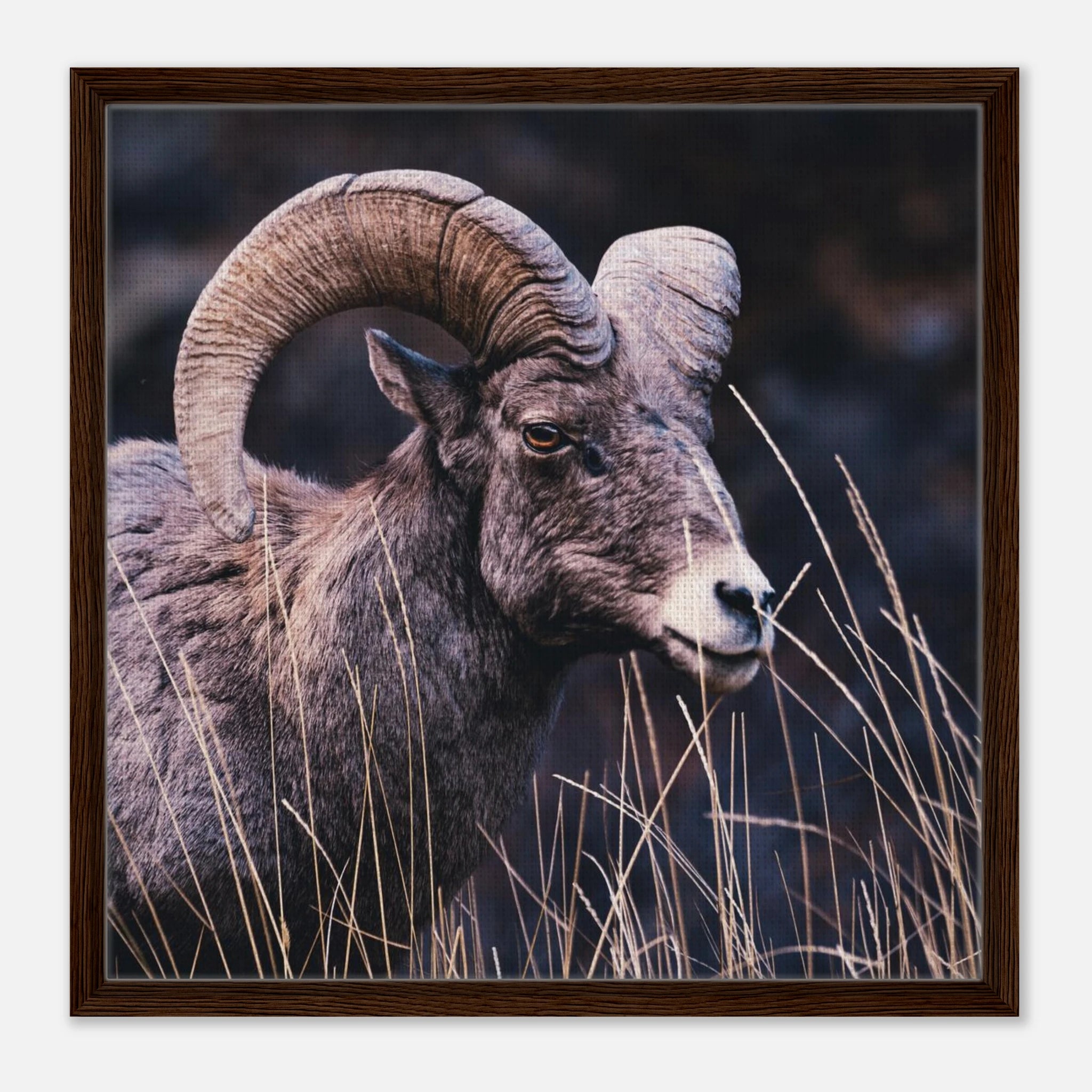 50d4d0e0-c70a-460e-9b51-a9d2d4ac1188