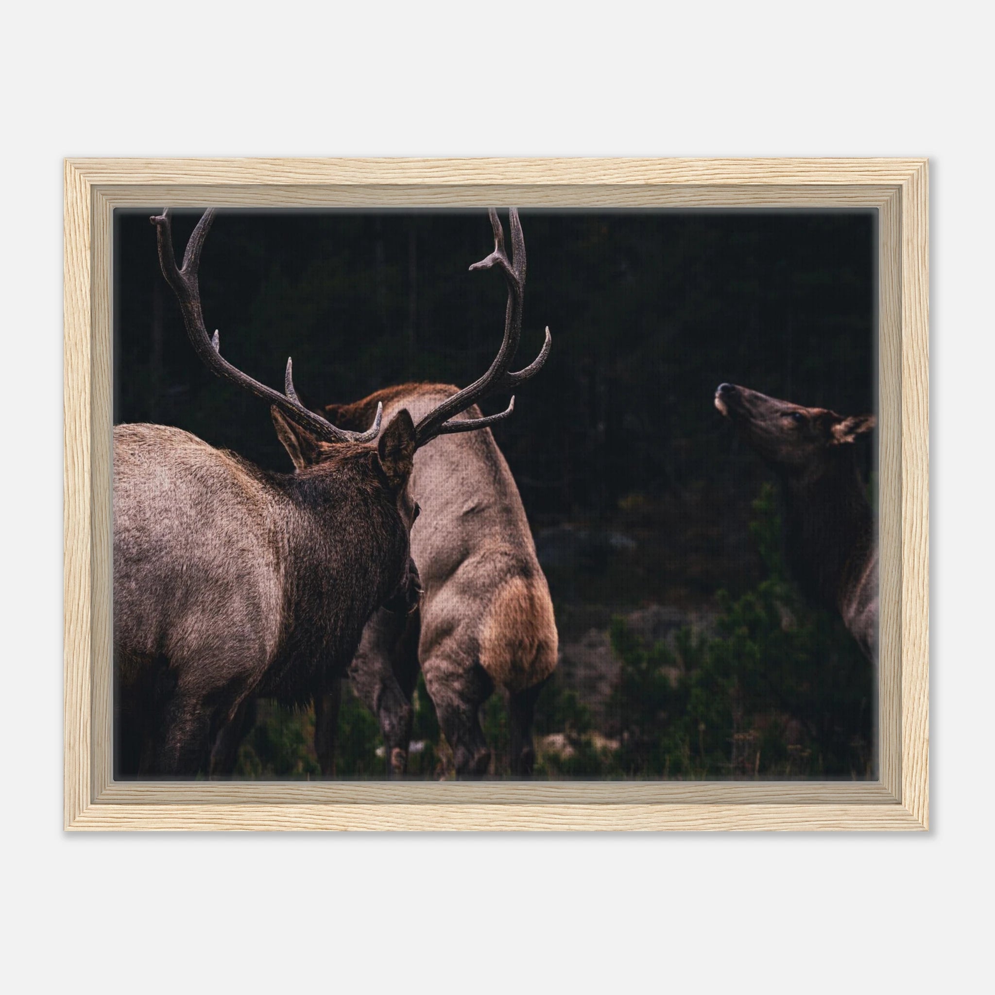 5380a231-caad-46fe-af65-35410d5ae7e5