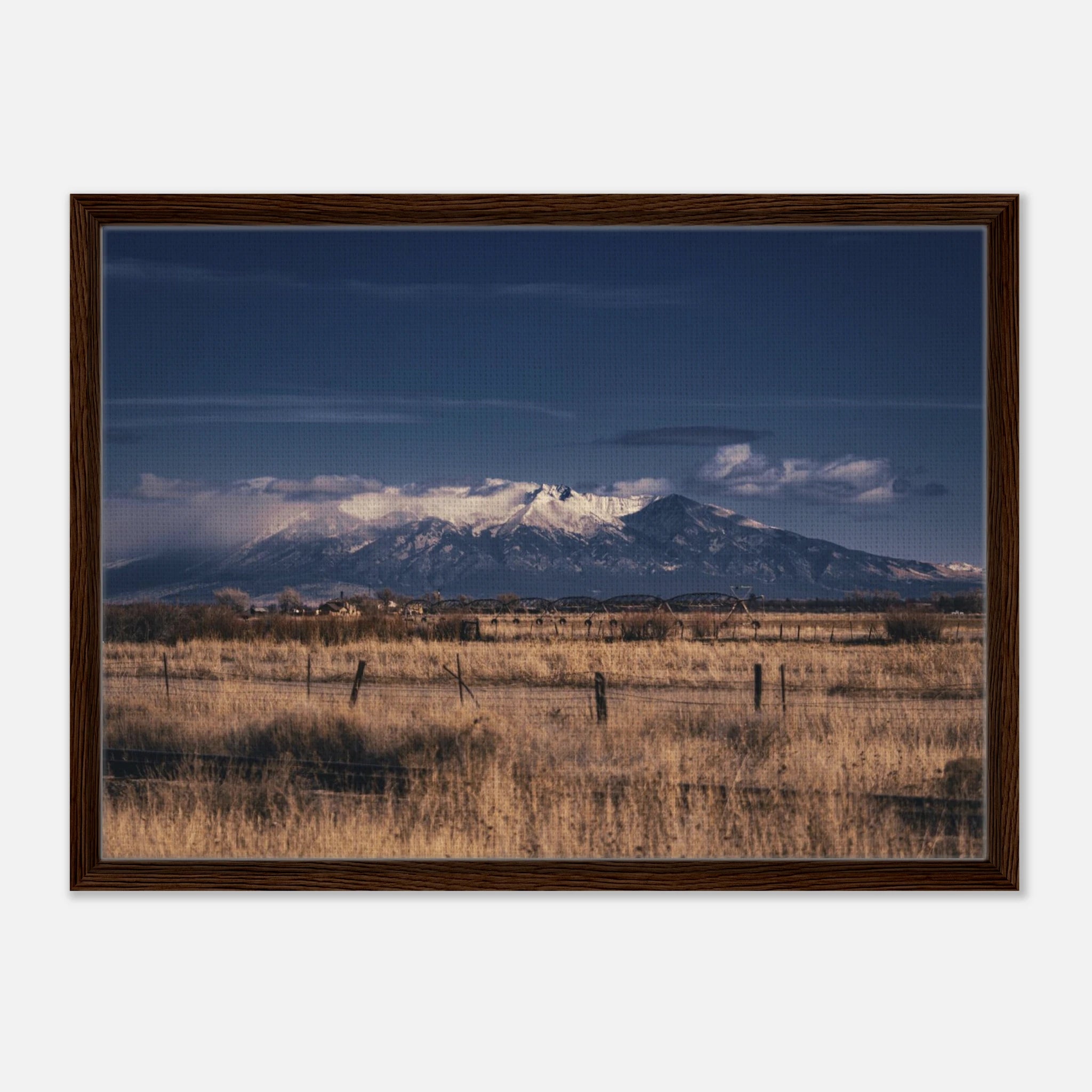 542eb2c5-1bb5-4501-a0eb-5e904635b6f0