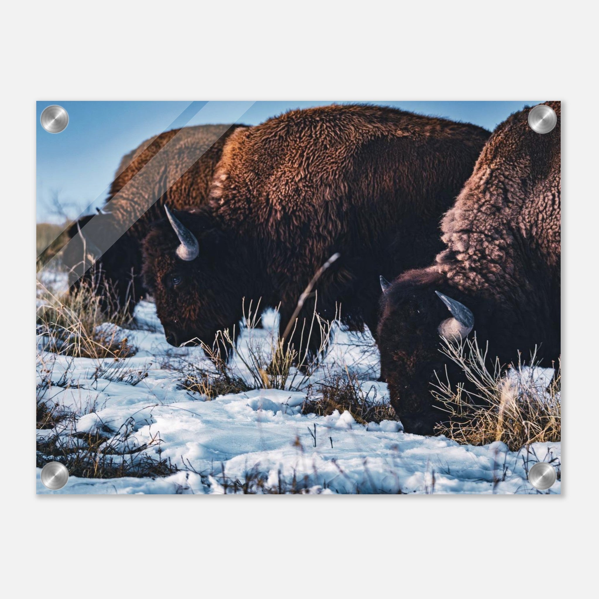 543cbfc7-246a-4721-8054-cd5d9d8c0a6b