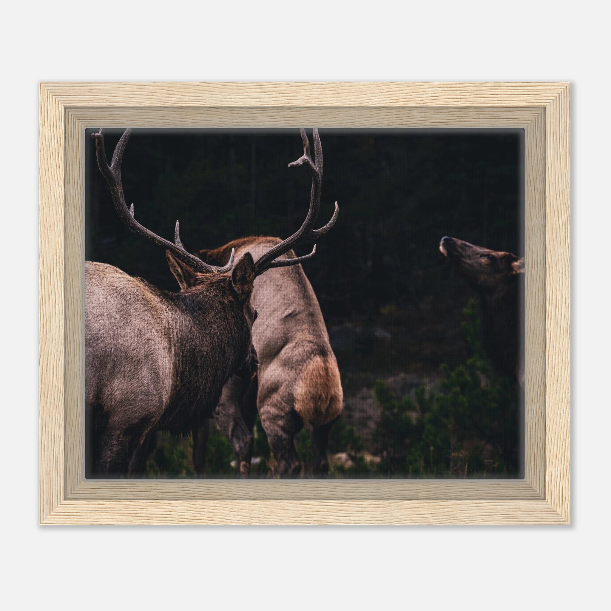 54ac7933-f167-4337-af78-609a6ab9a1c9