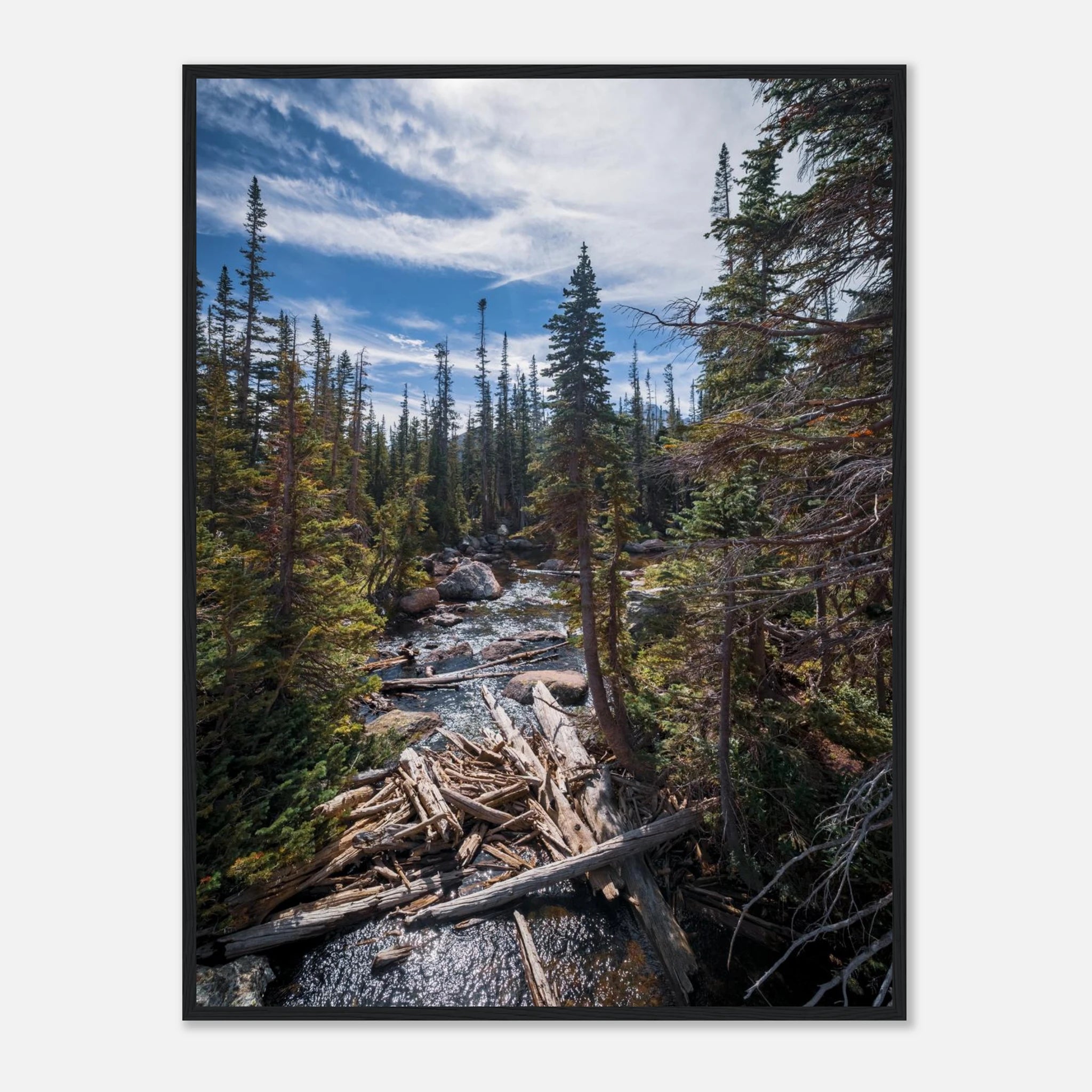 554c1957-3bed-4686-95ff-f8307d1df6f6