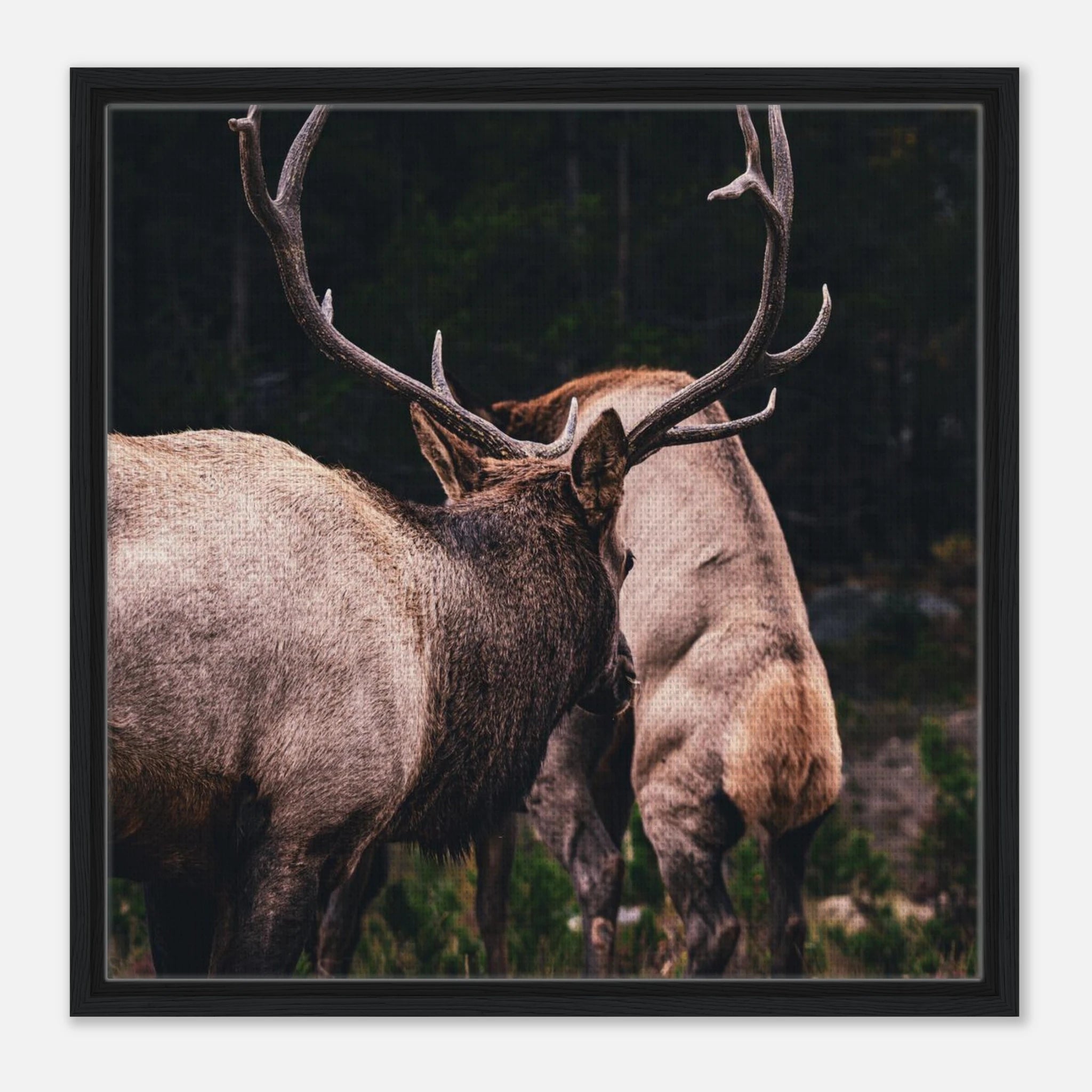 55d6cce3-962d-499a-ab3f-b274a814093b