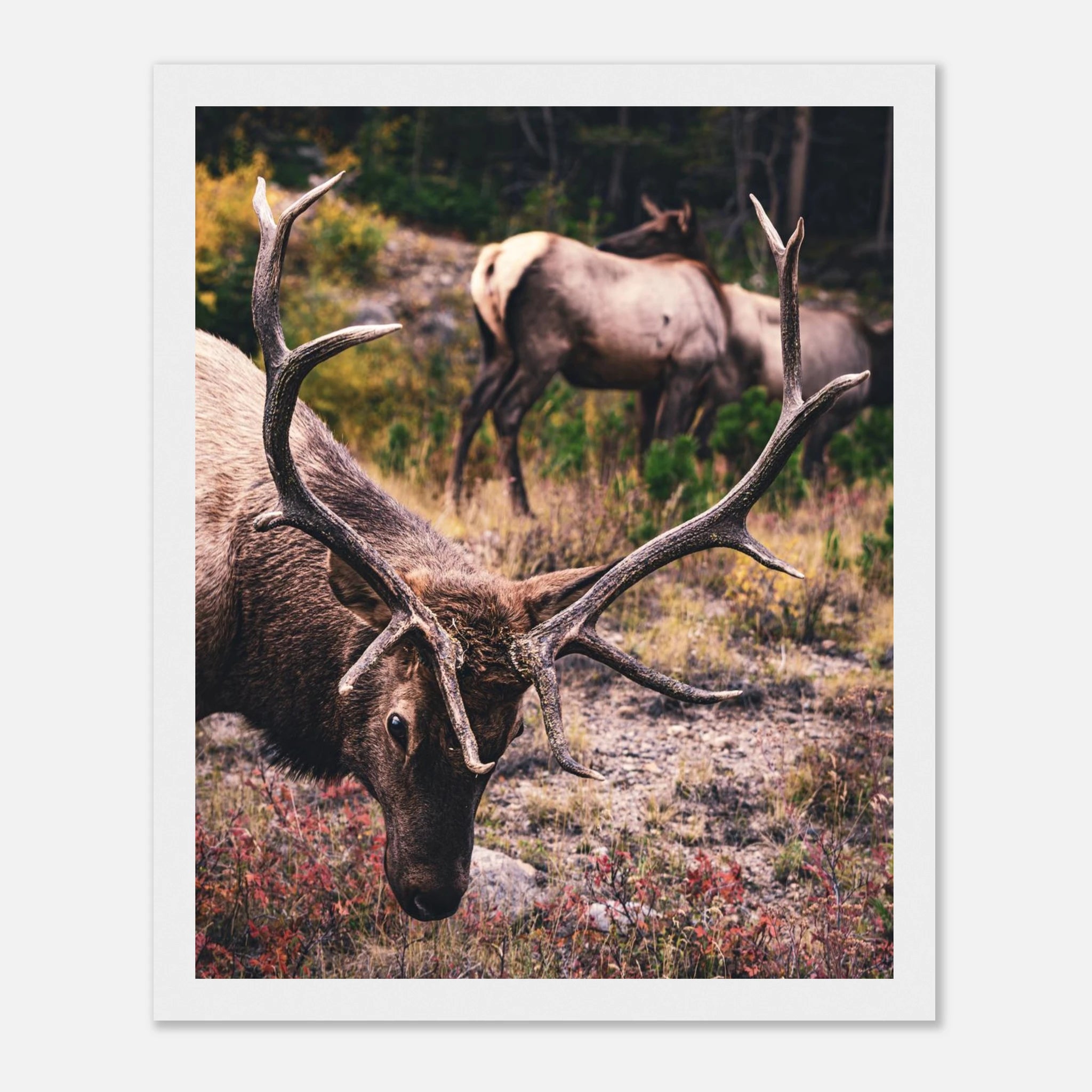 5775c80a-e8f0-476e-be18-8e6d42544ac3