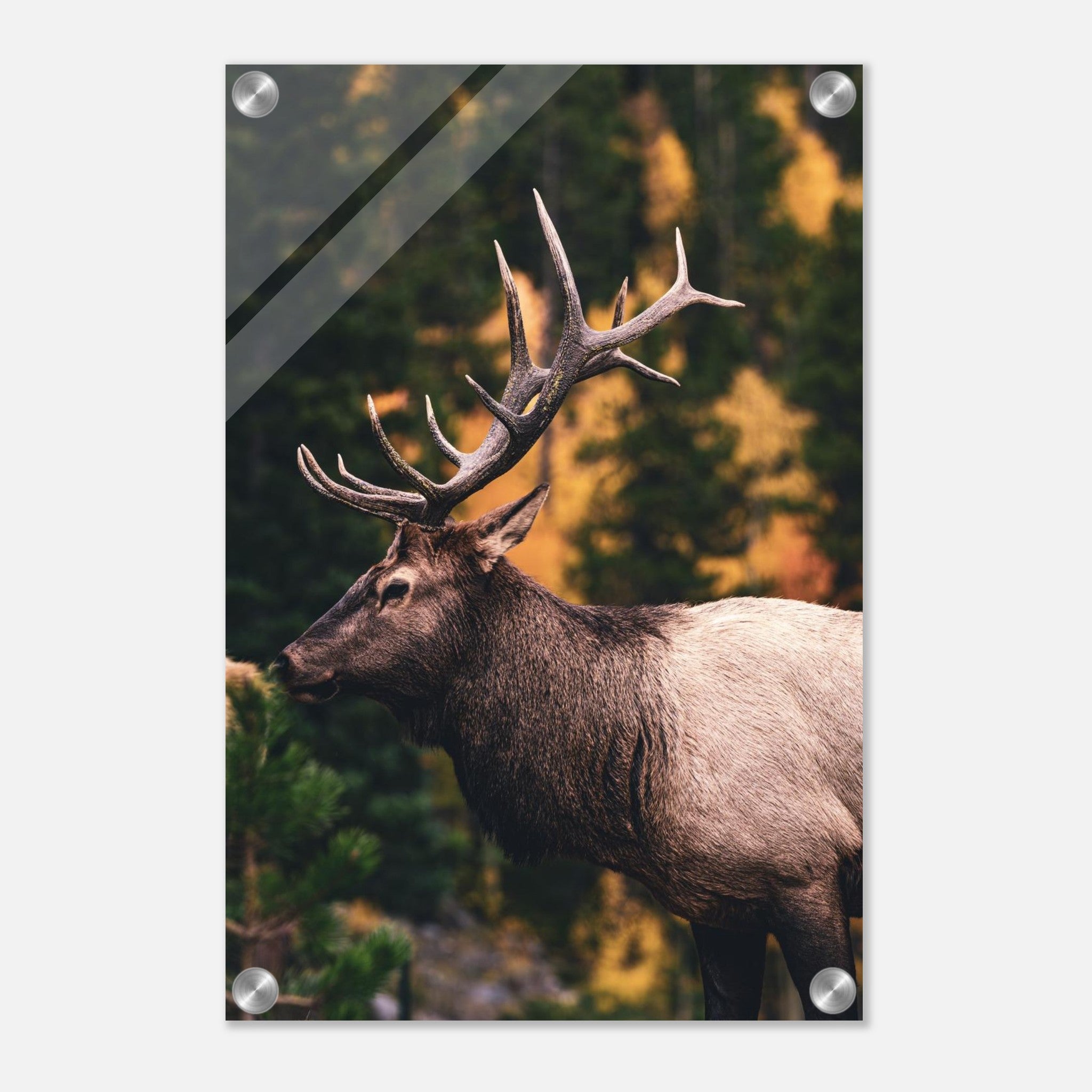 578b9285-32c5-4c2d-8a09-8099592a1195