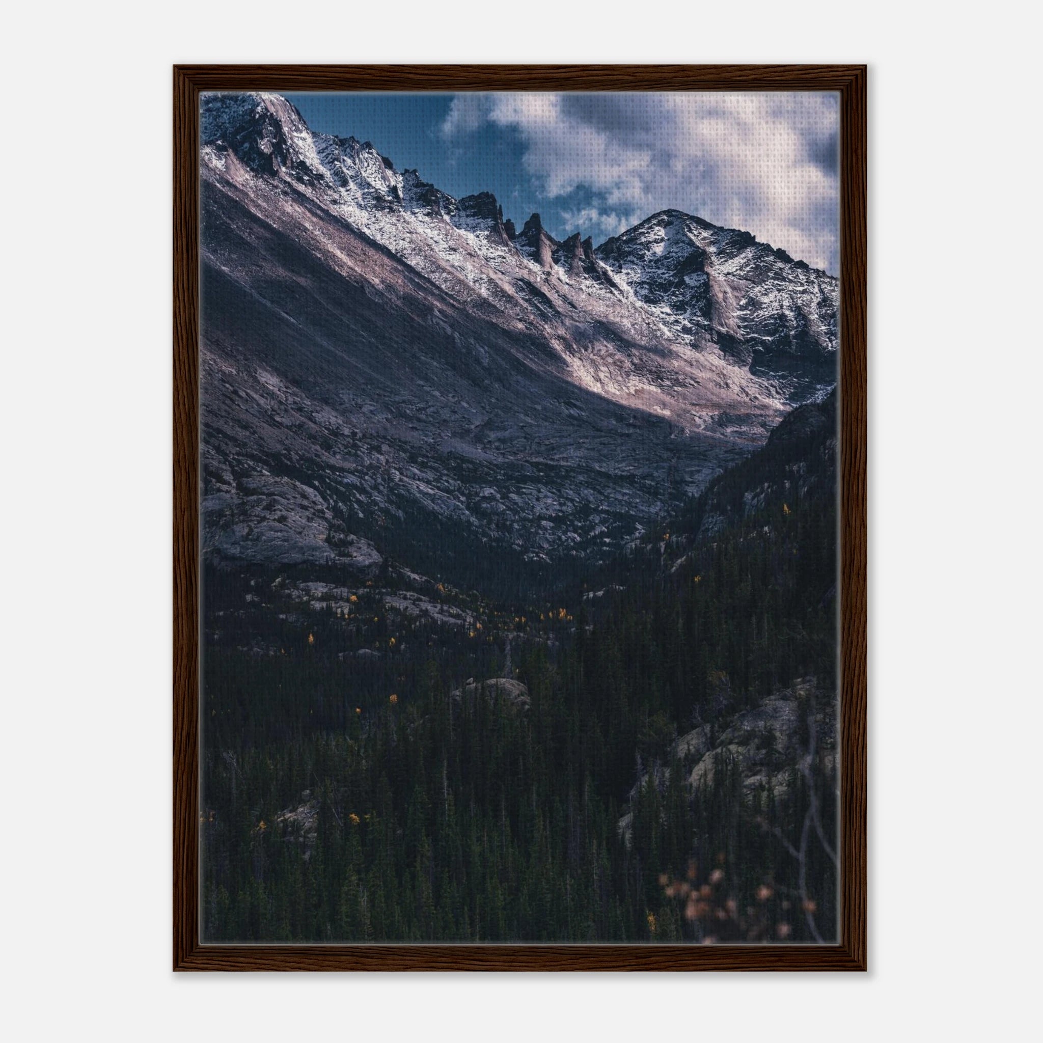 57dc9bd2-5a9d-4af5-8b5f-cf24d79b3a04