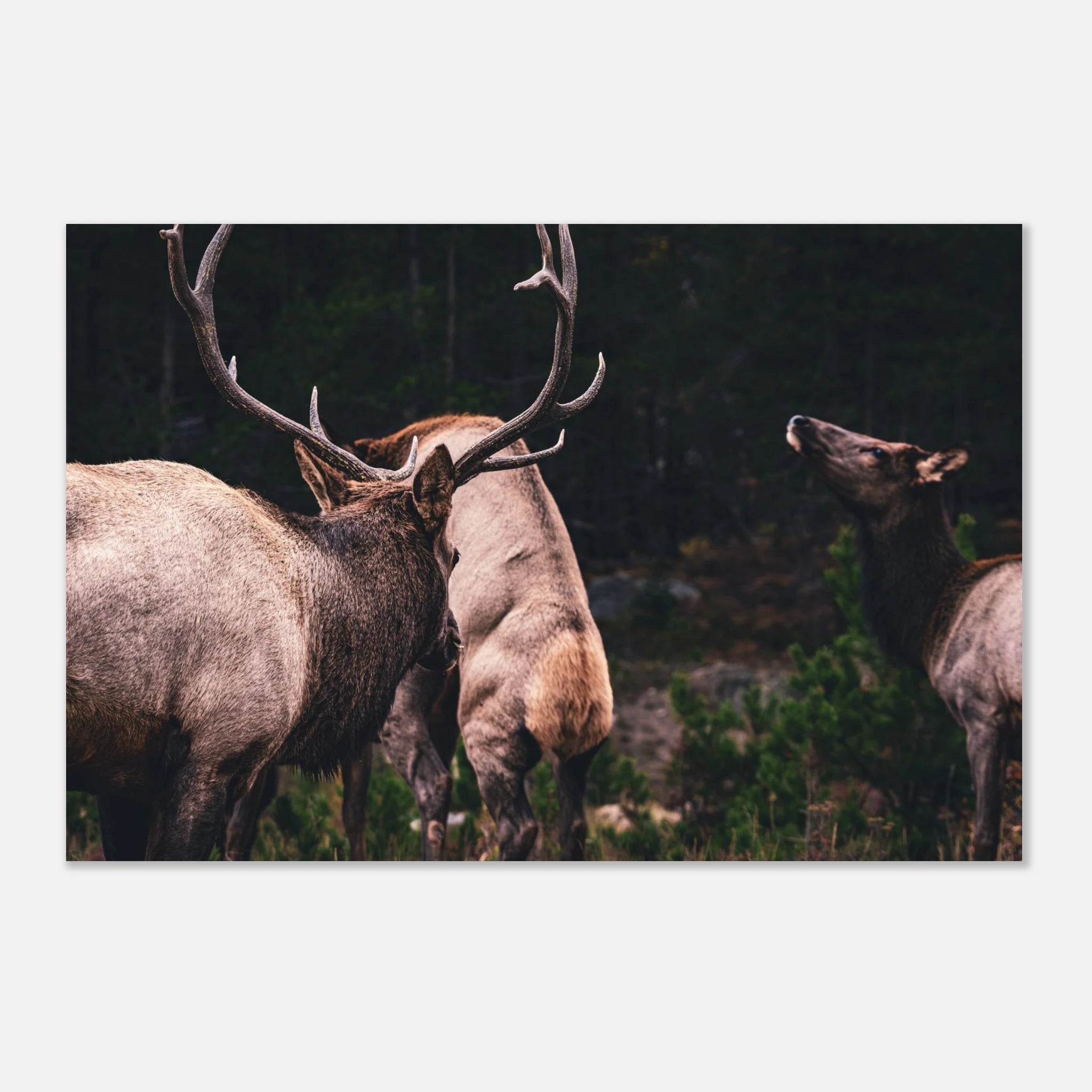 5822517e-7e4f-4b06-90d1-22d2332d91ab