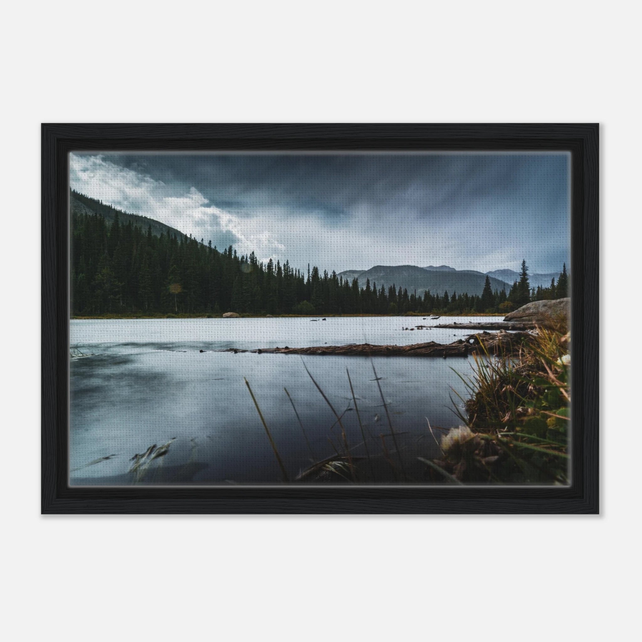 5826f429-9087-4092-bfe8-a792101ebd8c