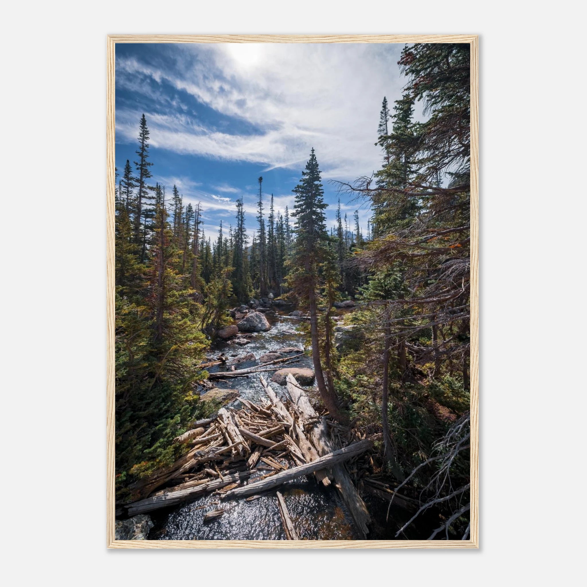 58dc869f-6a66-40b1-998e-247c4bb5baaf