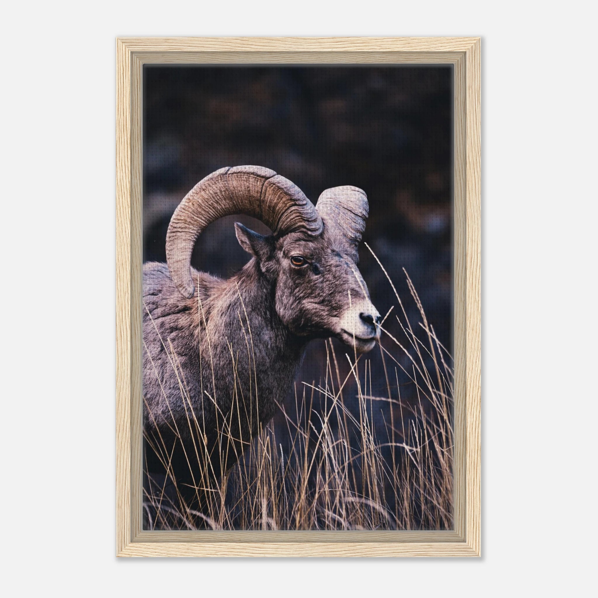 5b0edb59-14a4-4f33-a7d7-fbce6f46d998