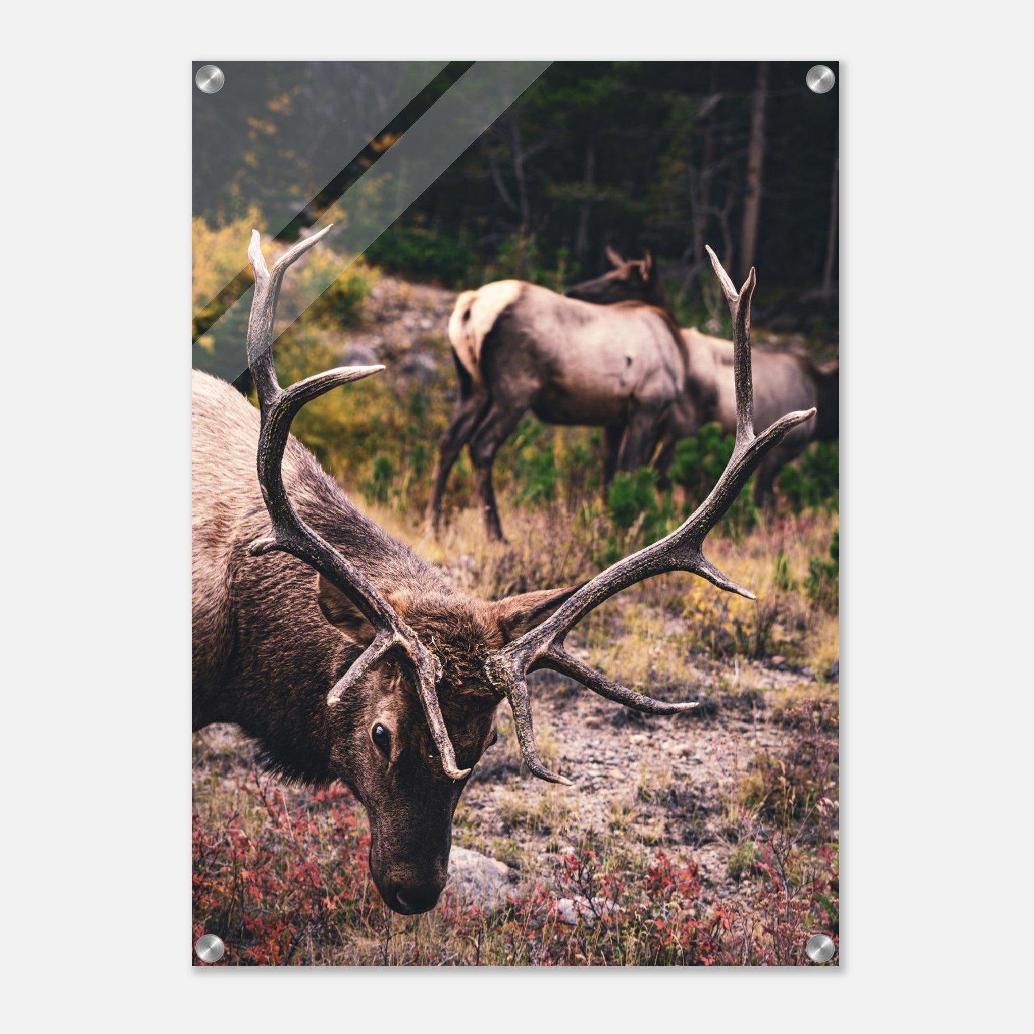 5b4f22aa-aa9a-46ee-aaac-66258b77f6b5