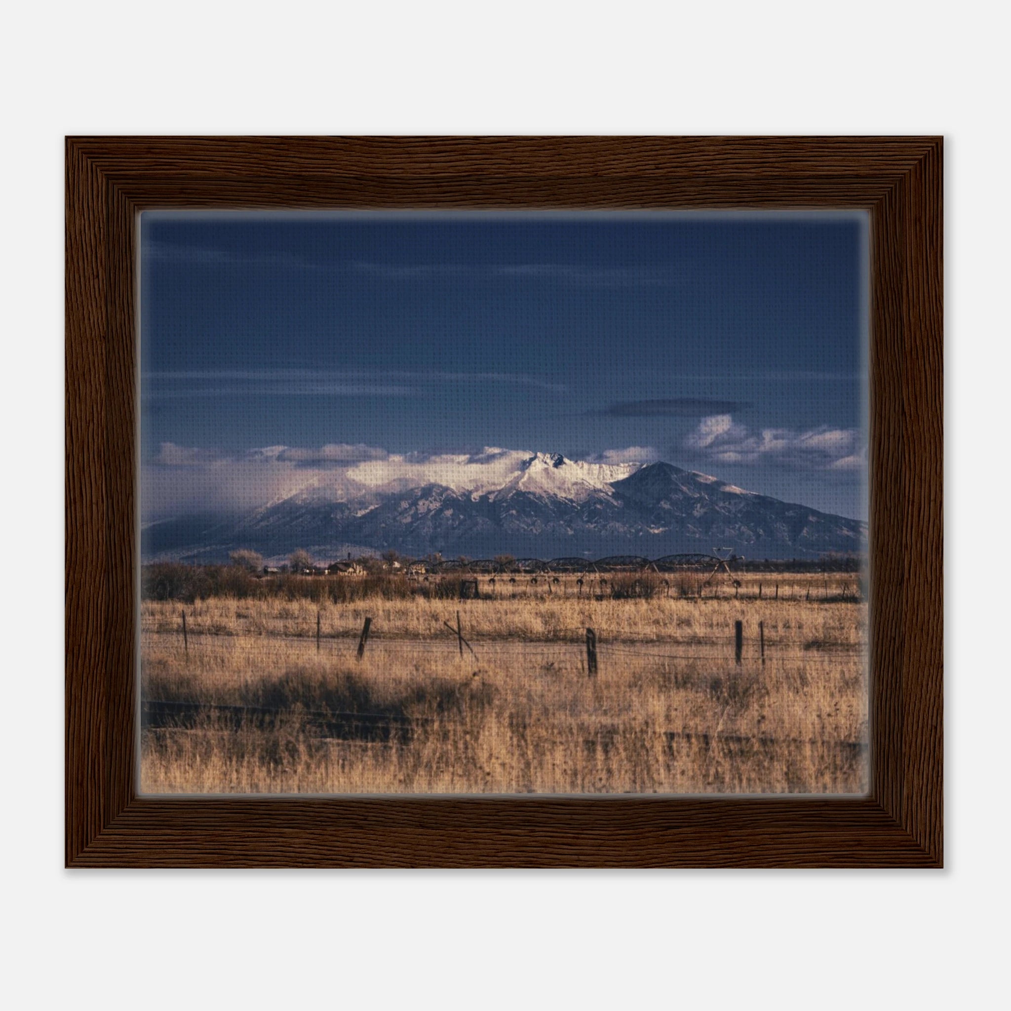 5b6fd78d-77d9-4217-8d7c-d58fb1bac437