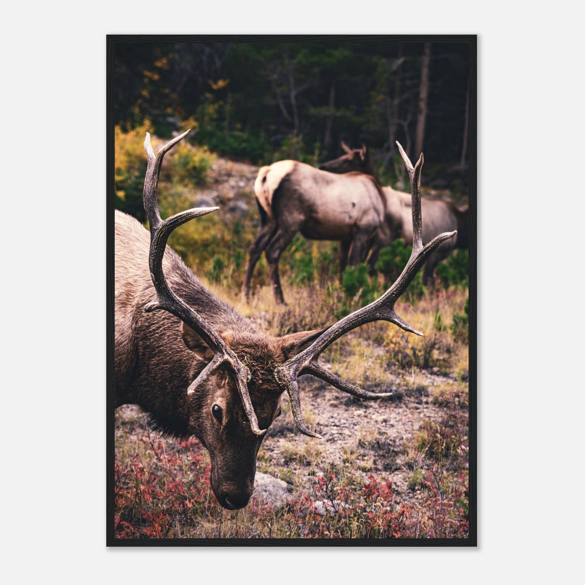 5bd63462-4e65-47f4-844f-3102c1f0c14d