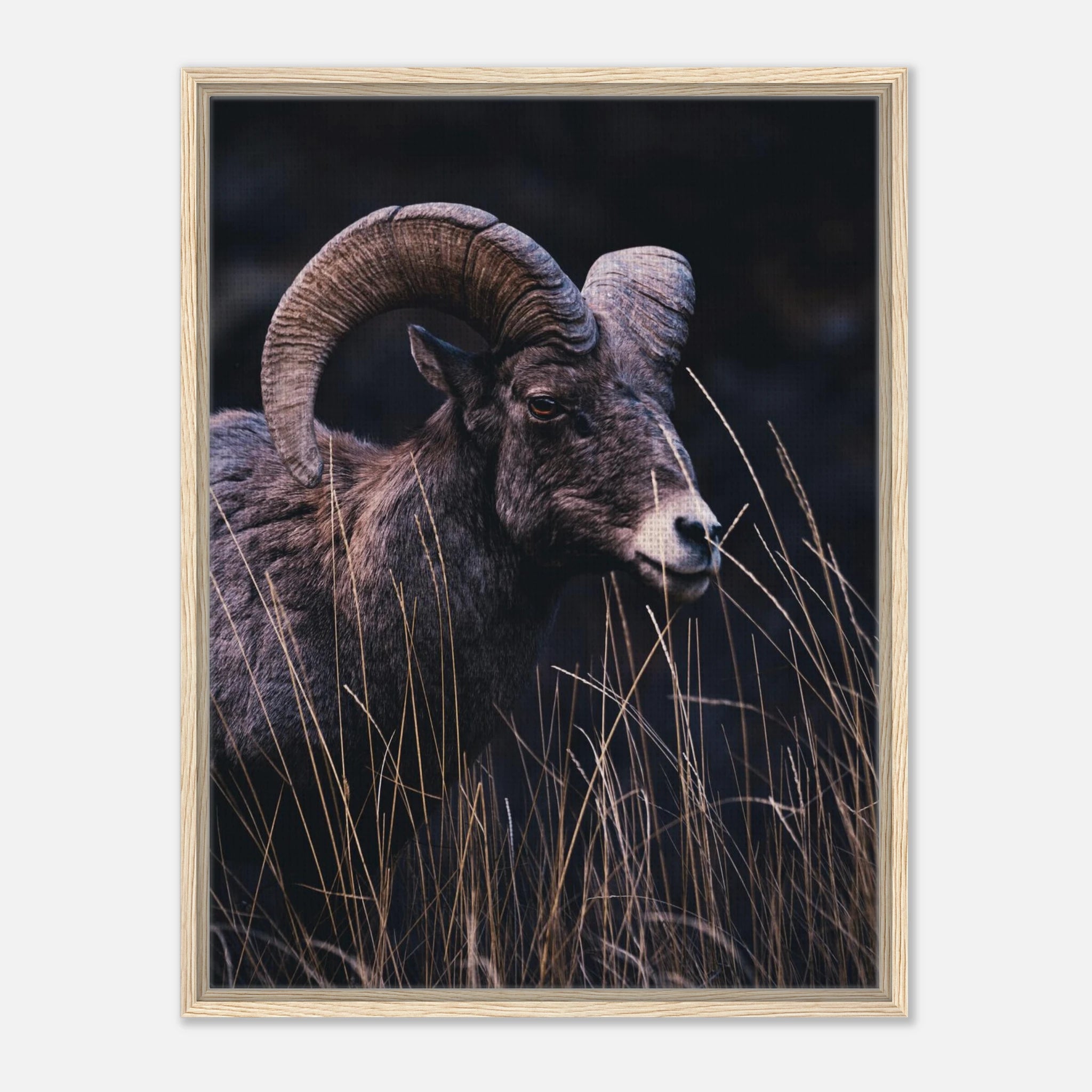 5be79b25-0668-4000-bc53-b5ebbfe8884f