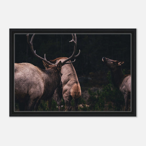 5c8e6514-5316-4c2f-9d0d-89561474cafd