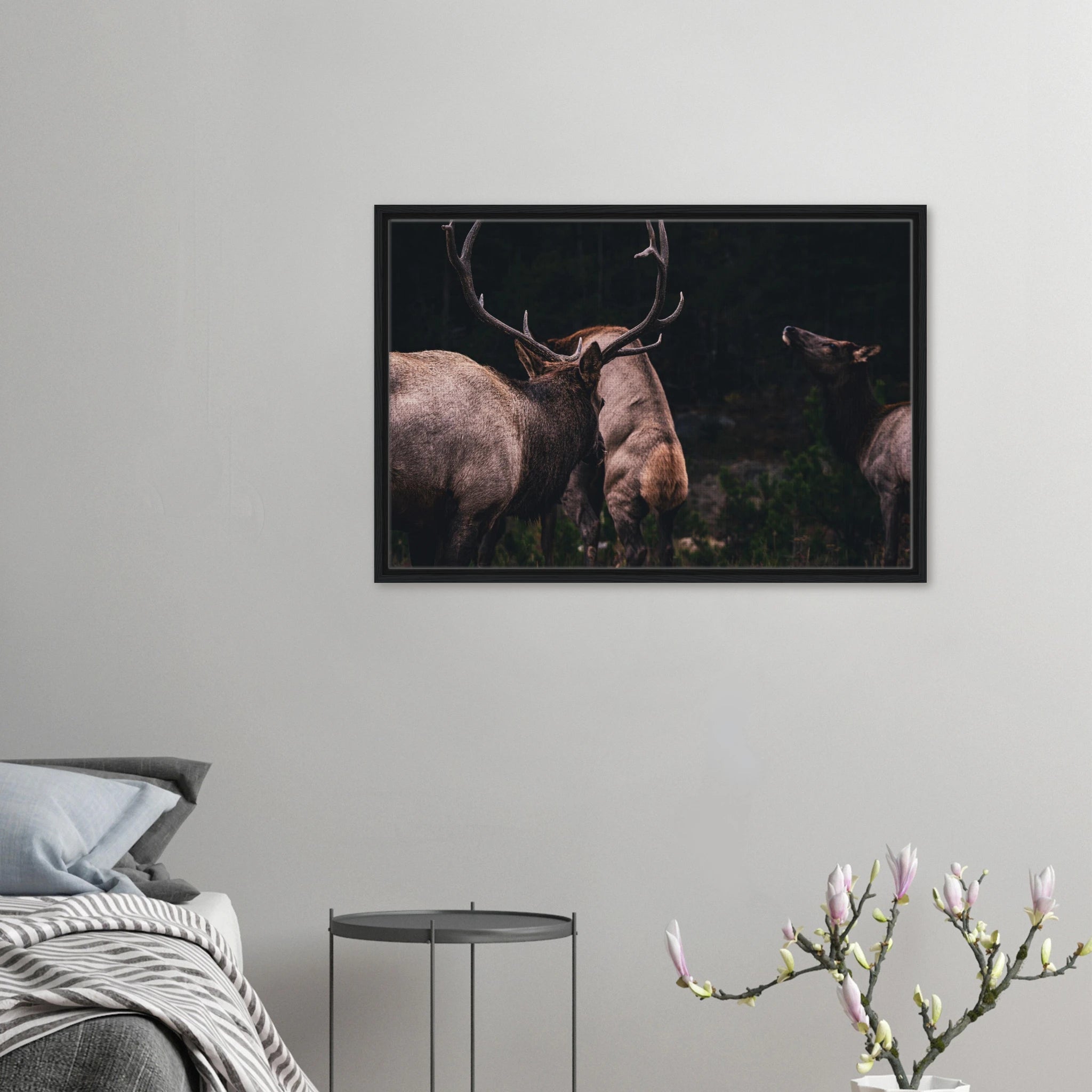 5c92aa4f-d1b4-4b81-85cf-62a77909a3e8