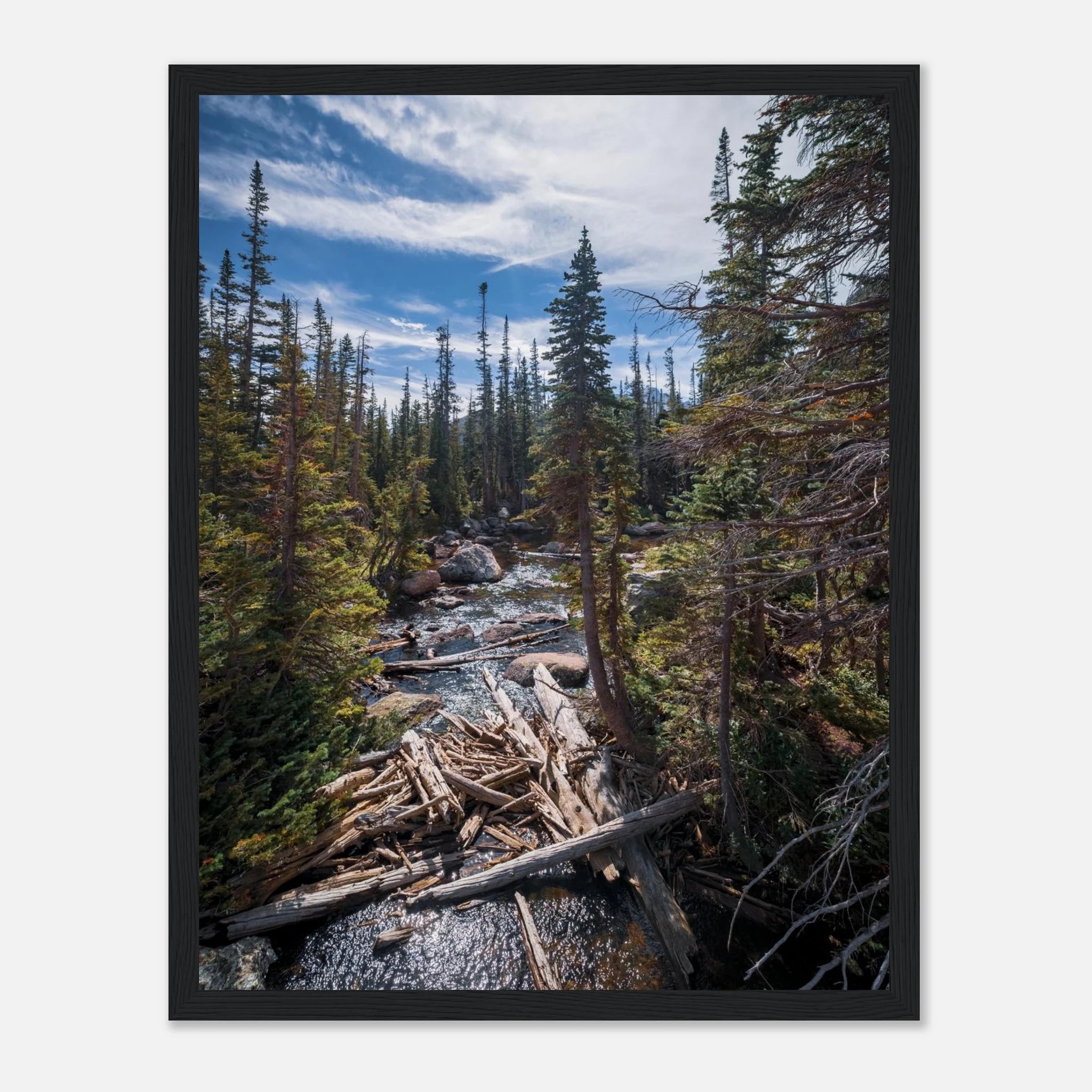 5d51dabc-4f9e-4cb2-a803-6f817ddf1b67