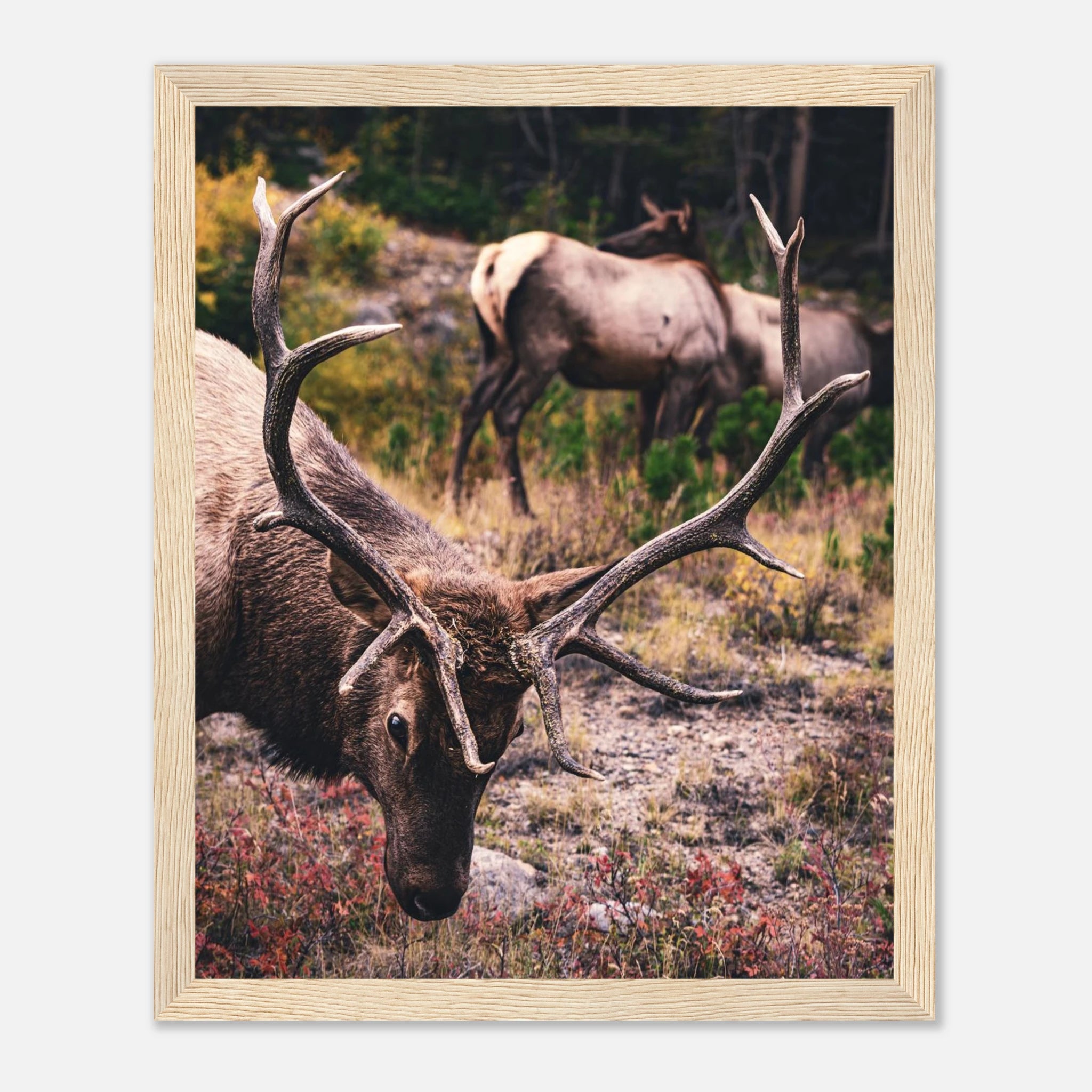 5d858159-1716-4917-839a-773684e6f3b3