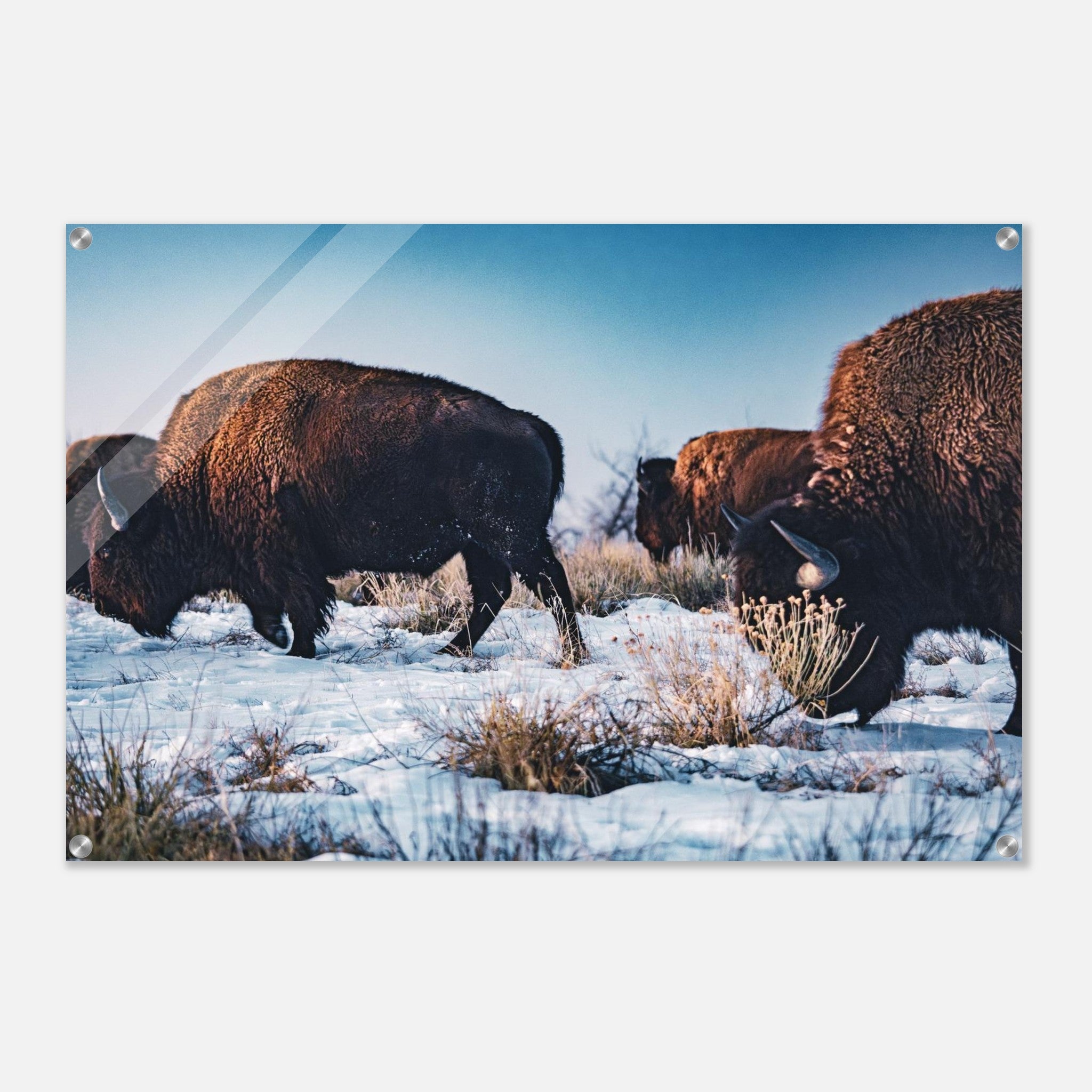 5d8d9b8b-1fe3-4241-99ce-760655959a40