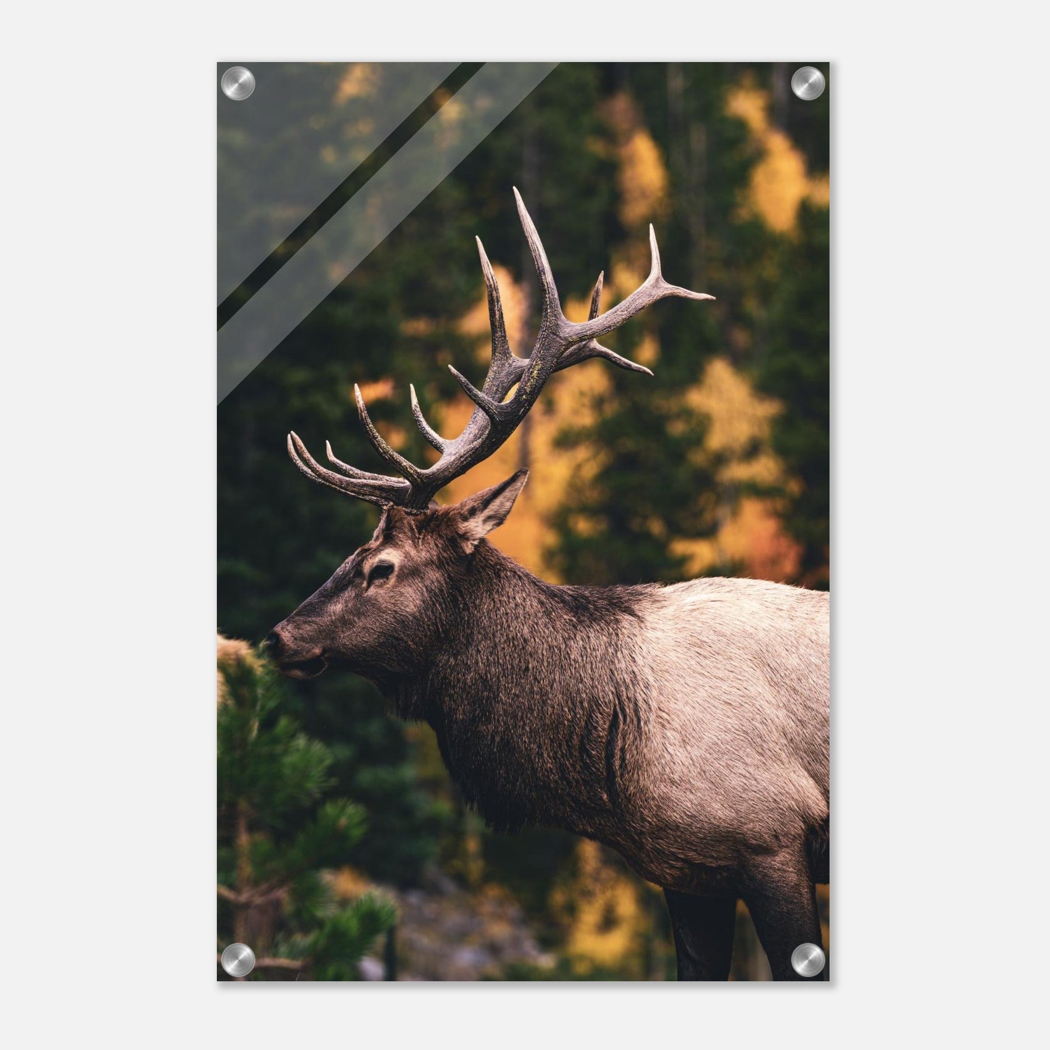 5ef0e29a-96d7-415e-a7f5-4d5349233ac0