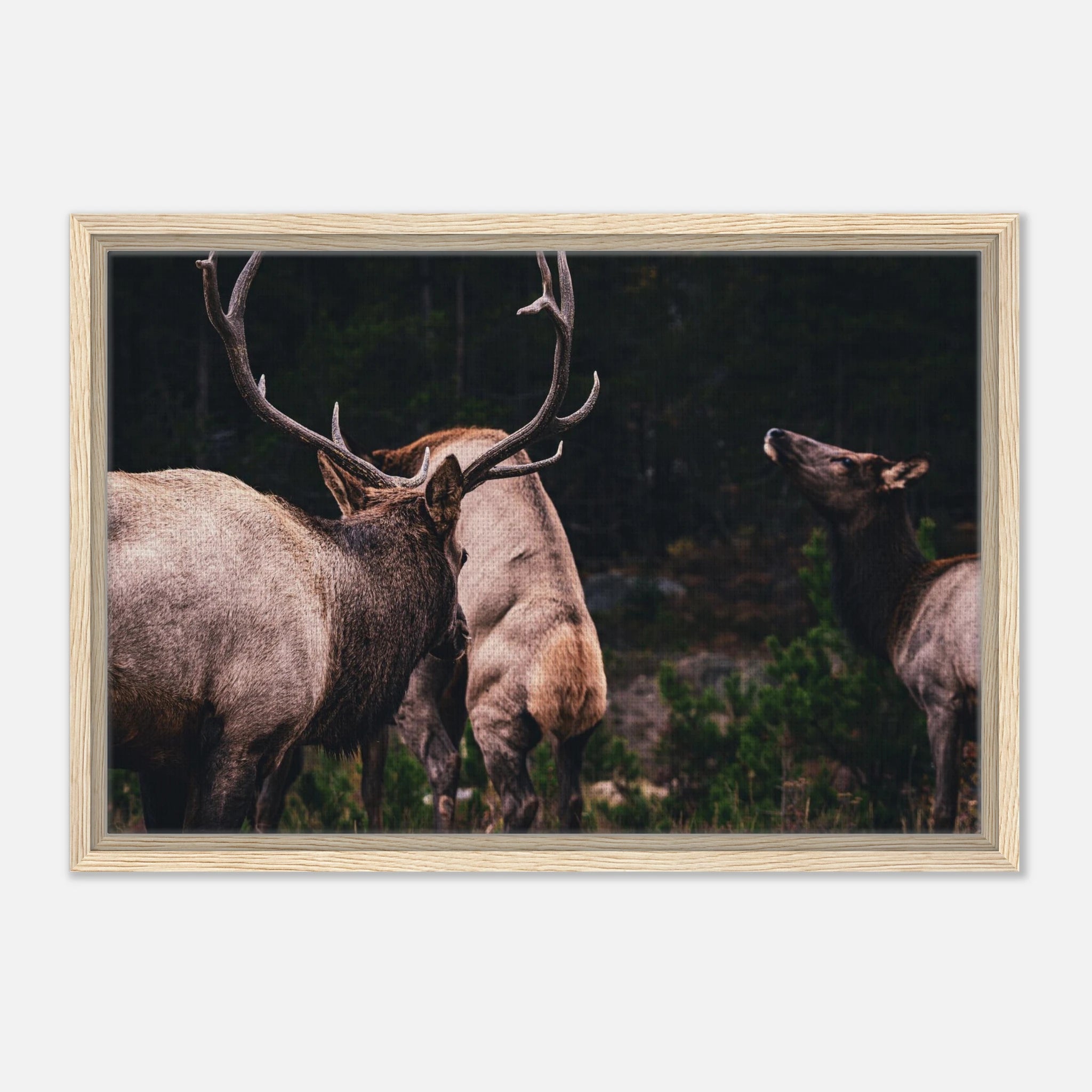 612c7e40-fc10-4368-a9f5-89913de186bf