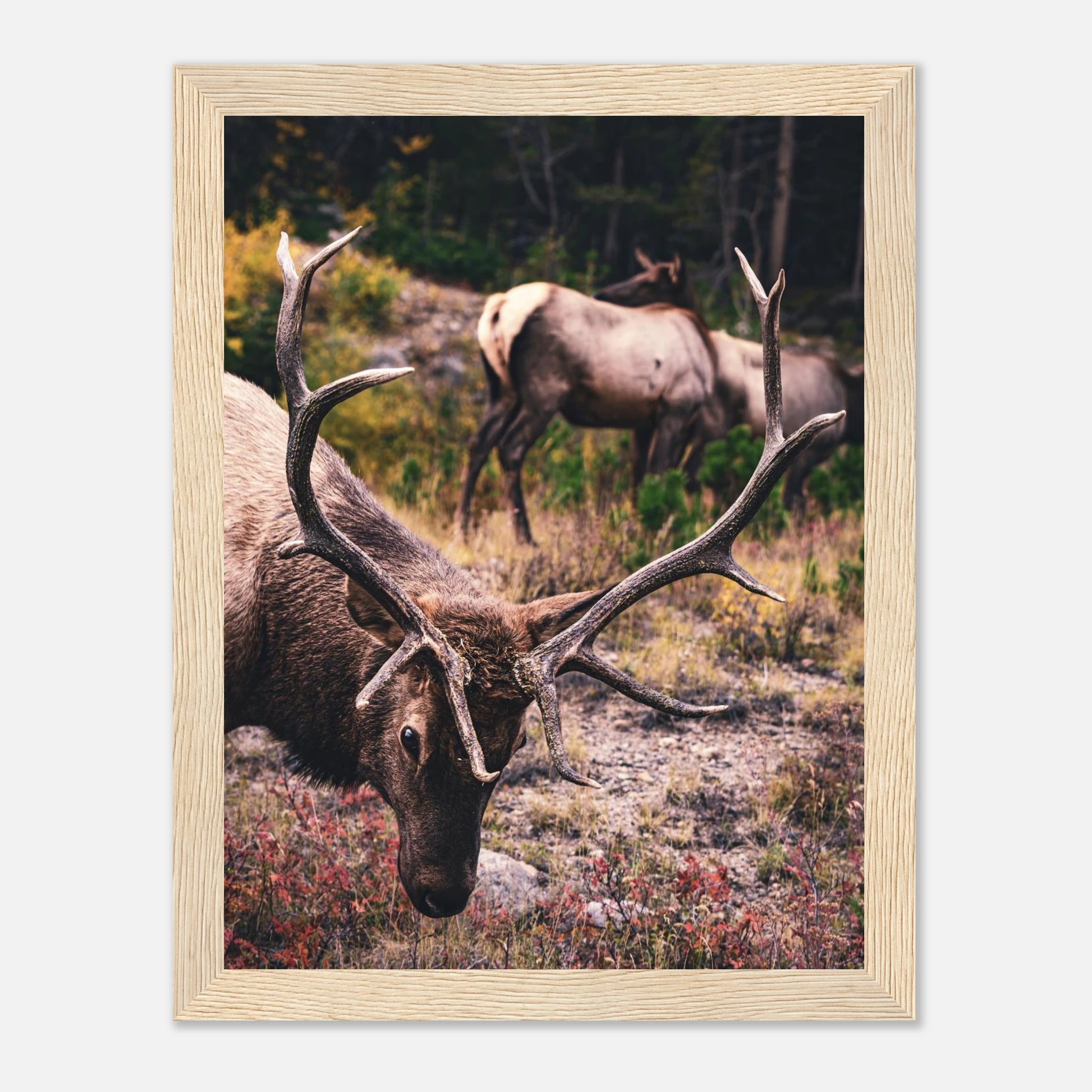 617e4773-fc1f-499b-8505-af1a400d3599