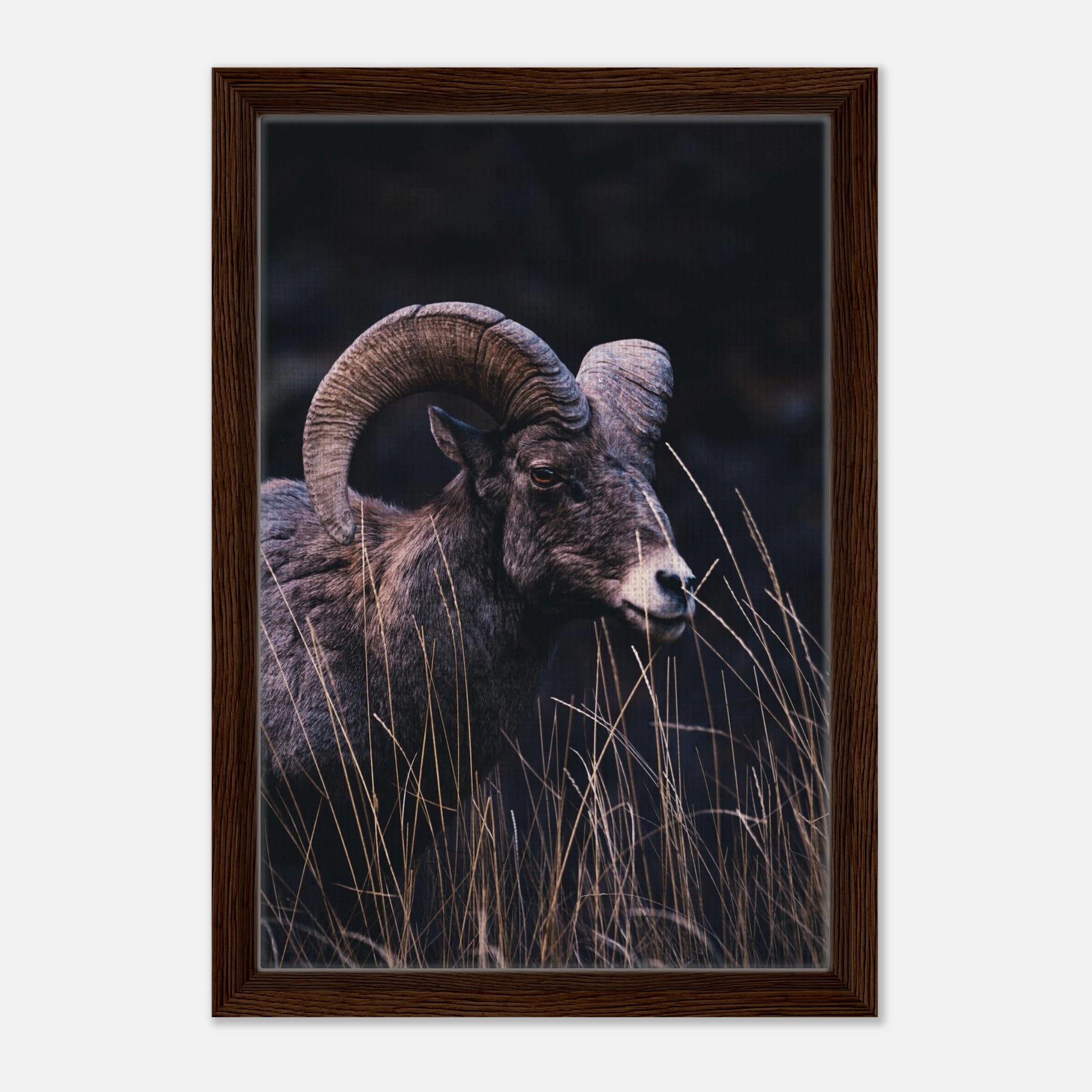 61b78185-4190-4614-bcd9-f7d77b1c637f