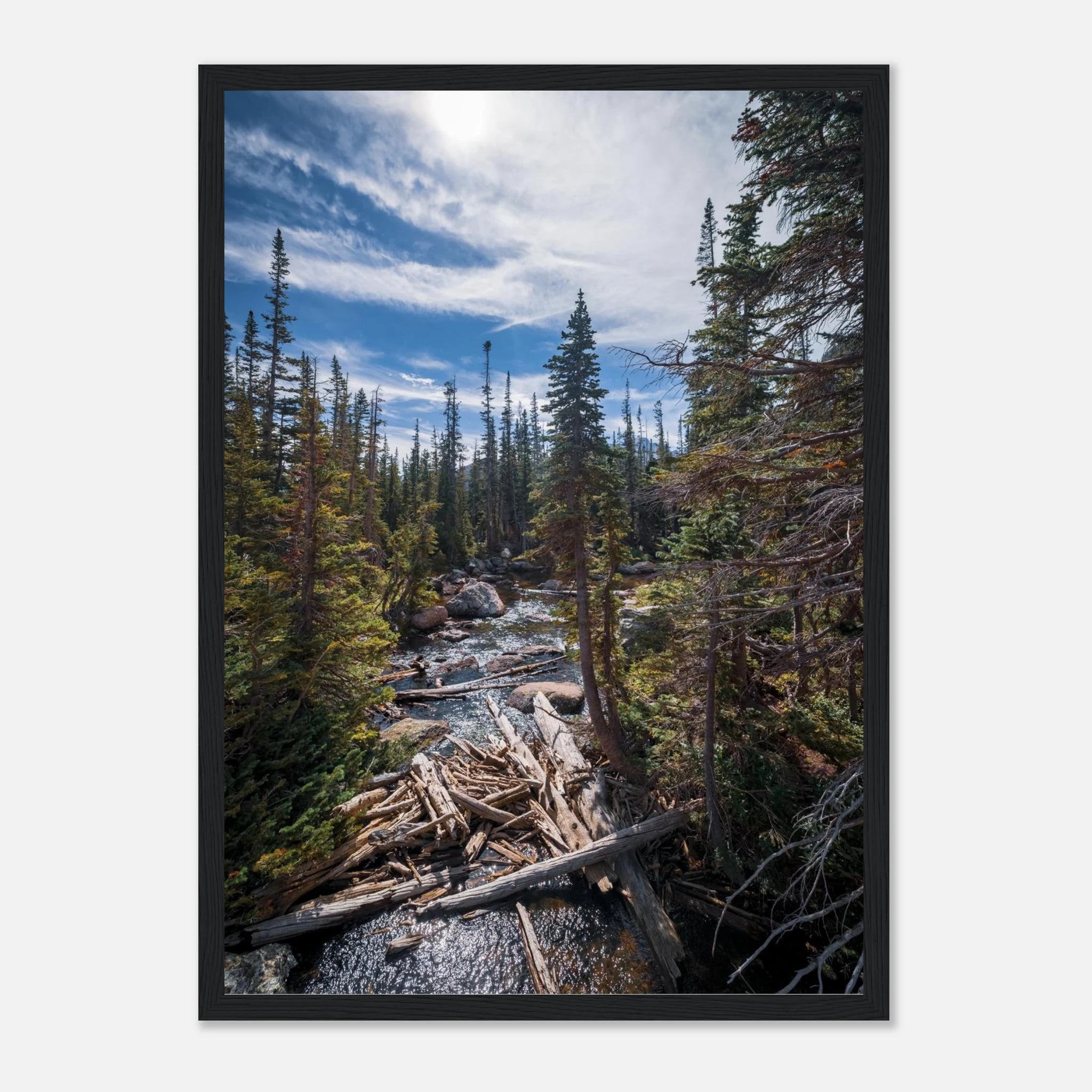 62203a00-b2e3-471b-b5c5-5d56d73d191a