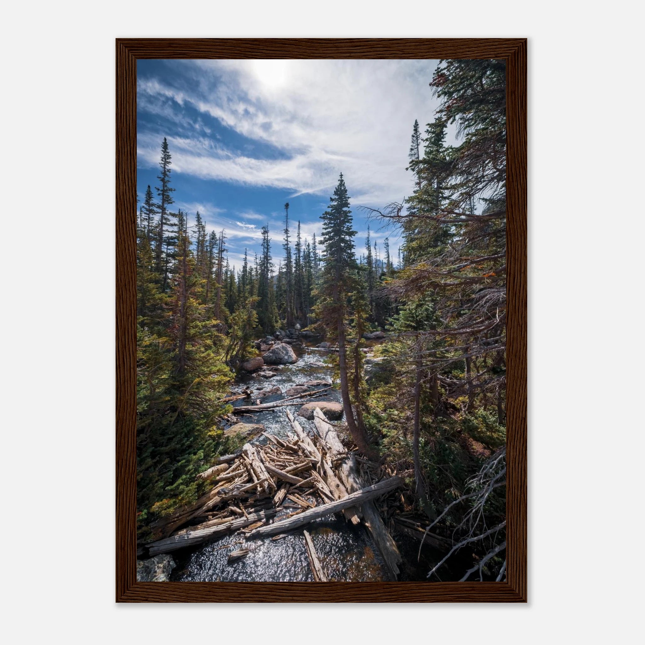 624a0bce-cbea-4629-8c81-22847f96c9b1