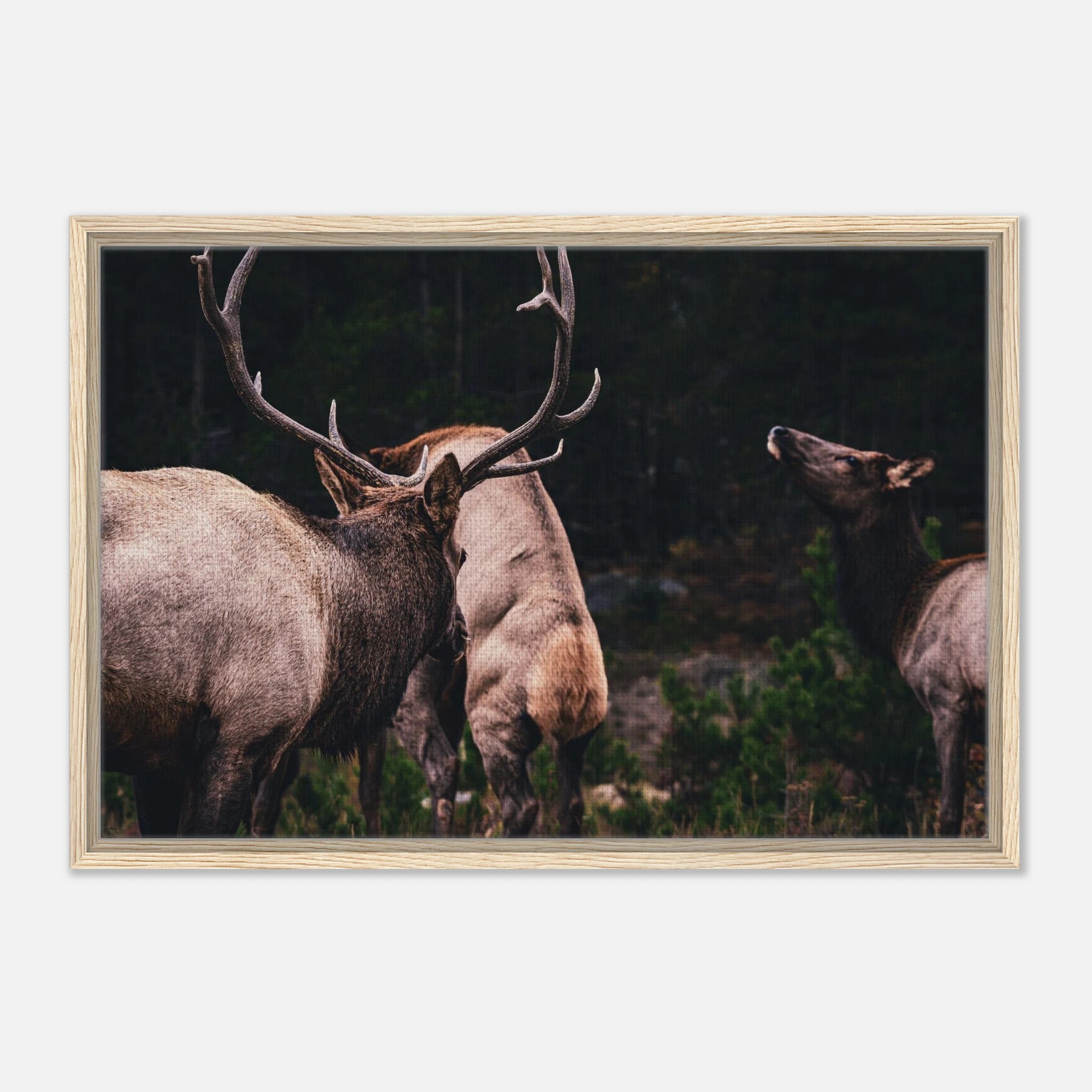 62f939a8-9068-4442-a9aa-8db4969768fb