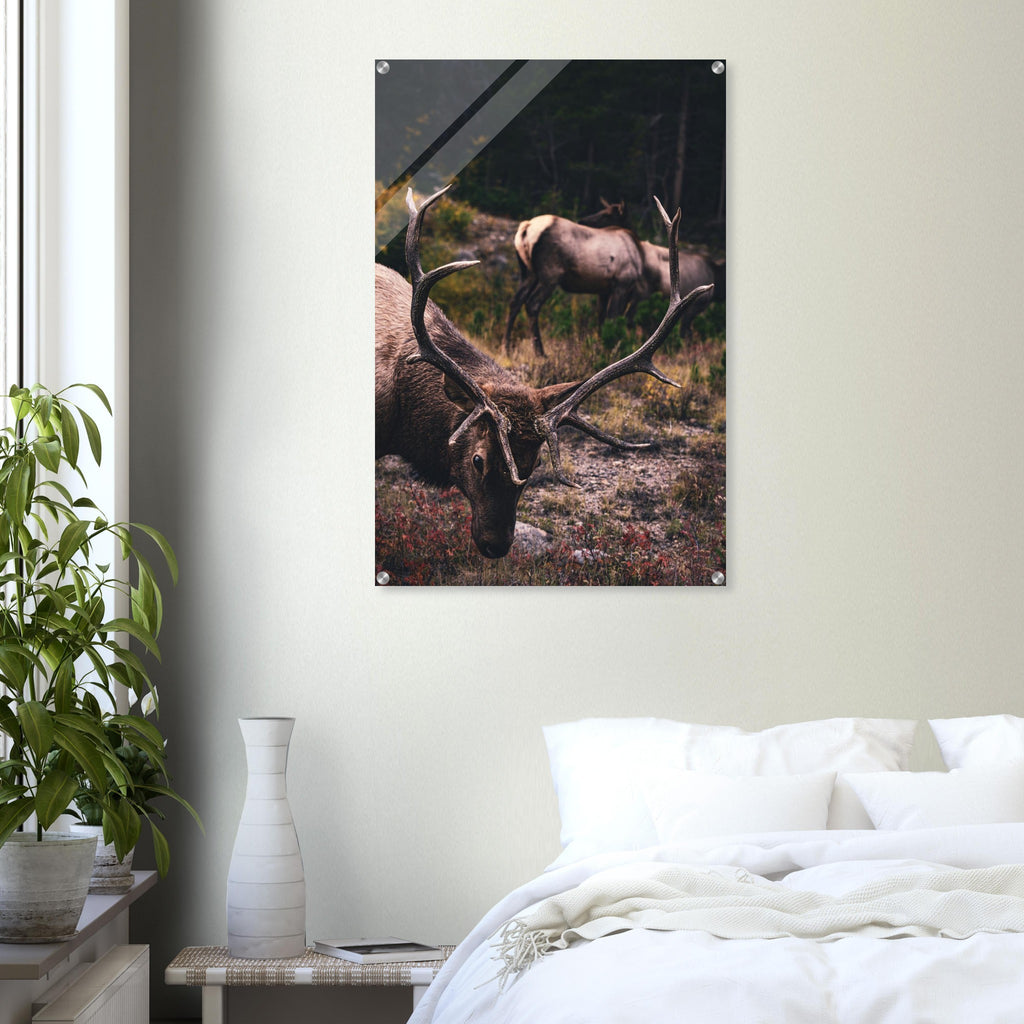 632705f0-b9c8-4fe9-91e4-b2185d7a76e3