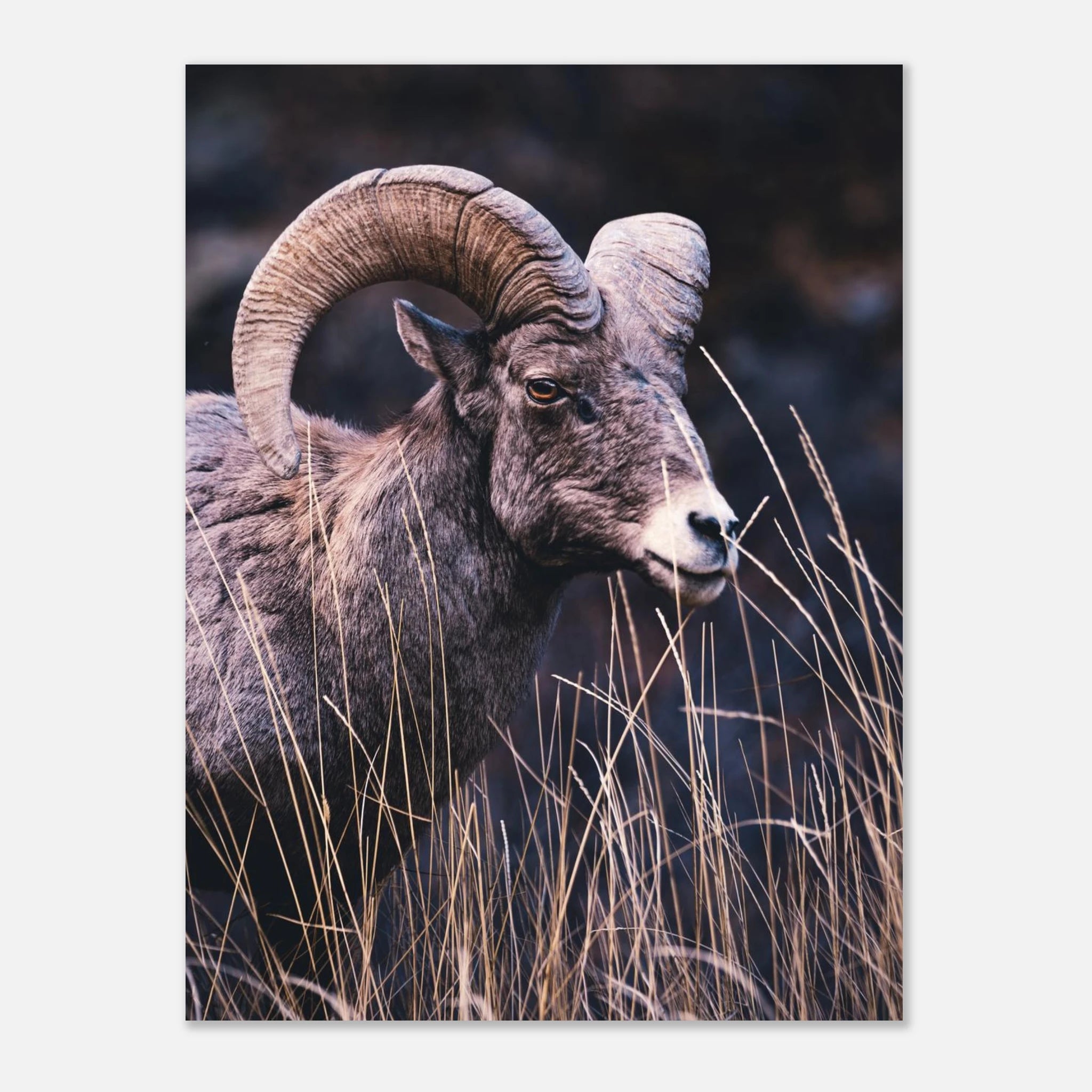 634b724d-e0bb-462a-91af-147625e1c0fa