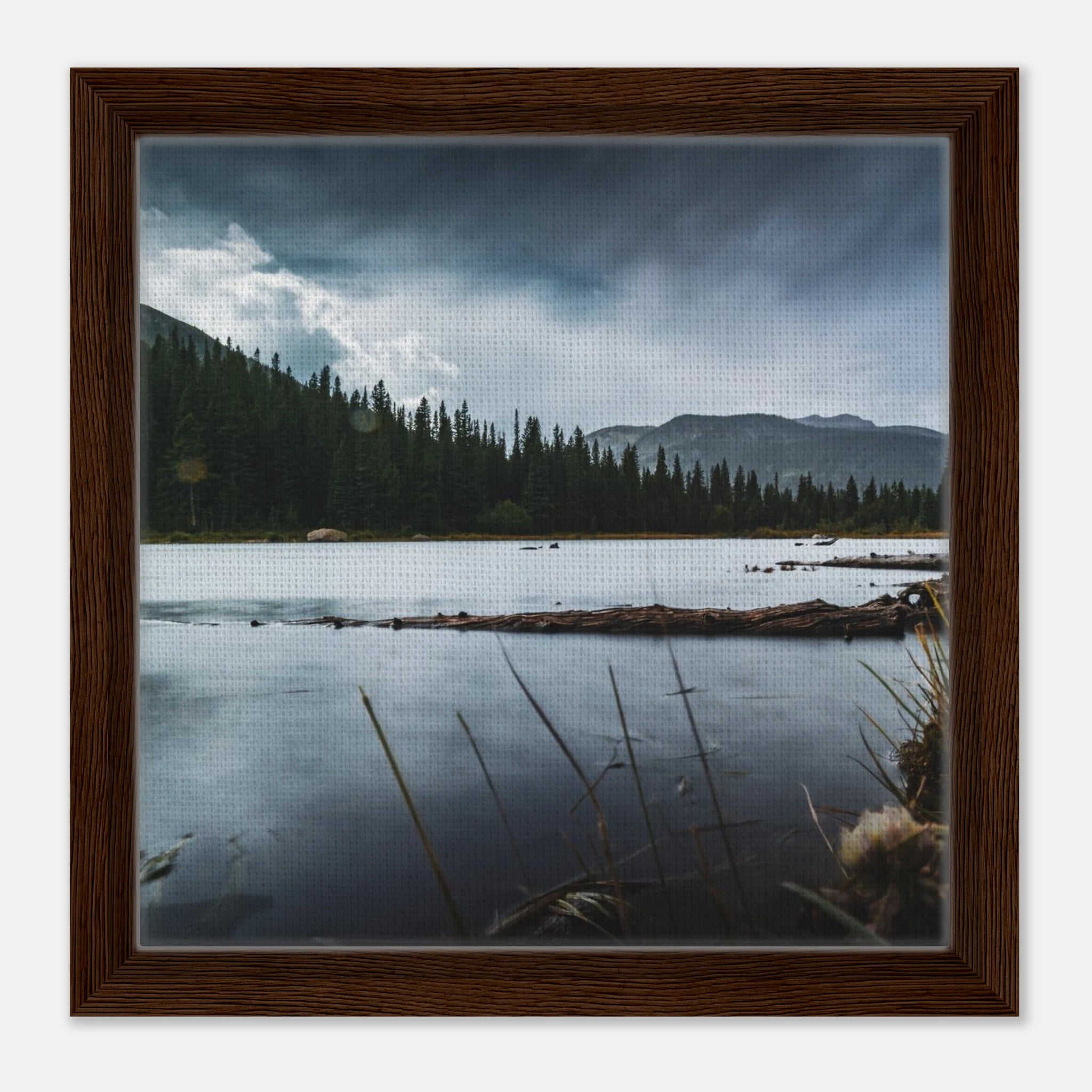 63cd4859-d58e-41a3-9a0b-58250d43b088