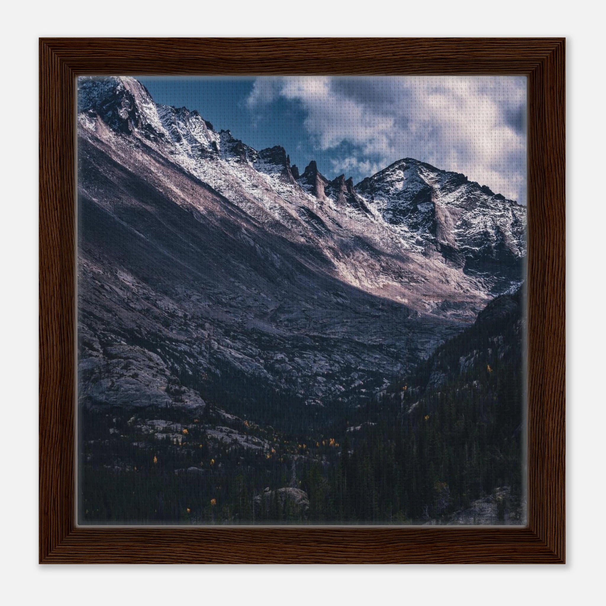 65731ba7-ad76-4fec-a55c-ef7293fd4b89