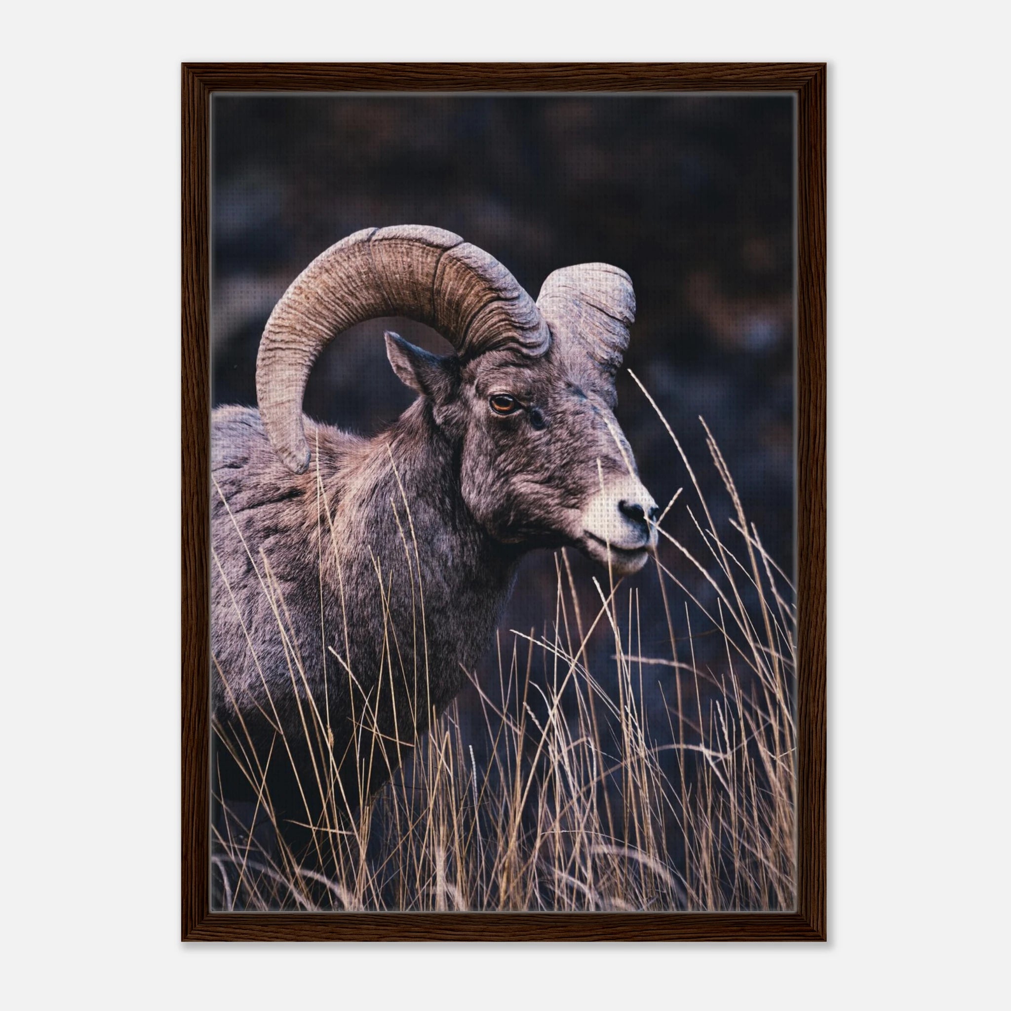 65beed40-0f71-44e3-a6a6-bbb5b2647c34