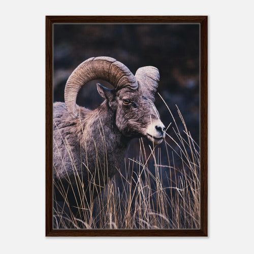 65beed40-0f71-44e3-a6a6-bbb5b2647c34