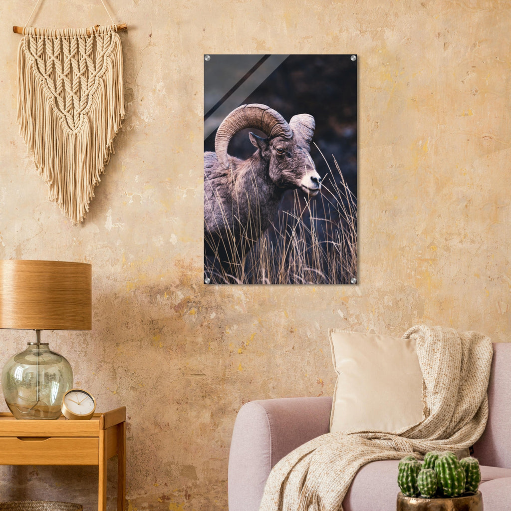 65ff15df-4094-4f9f-b9db-fb687ea420dc