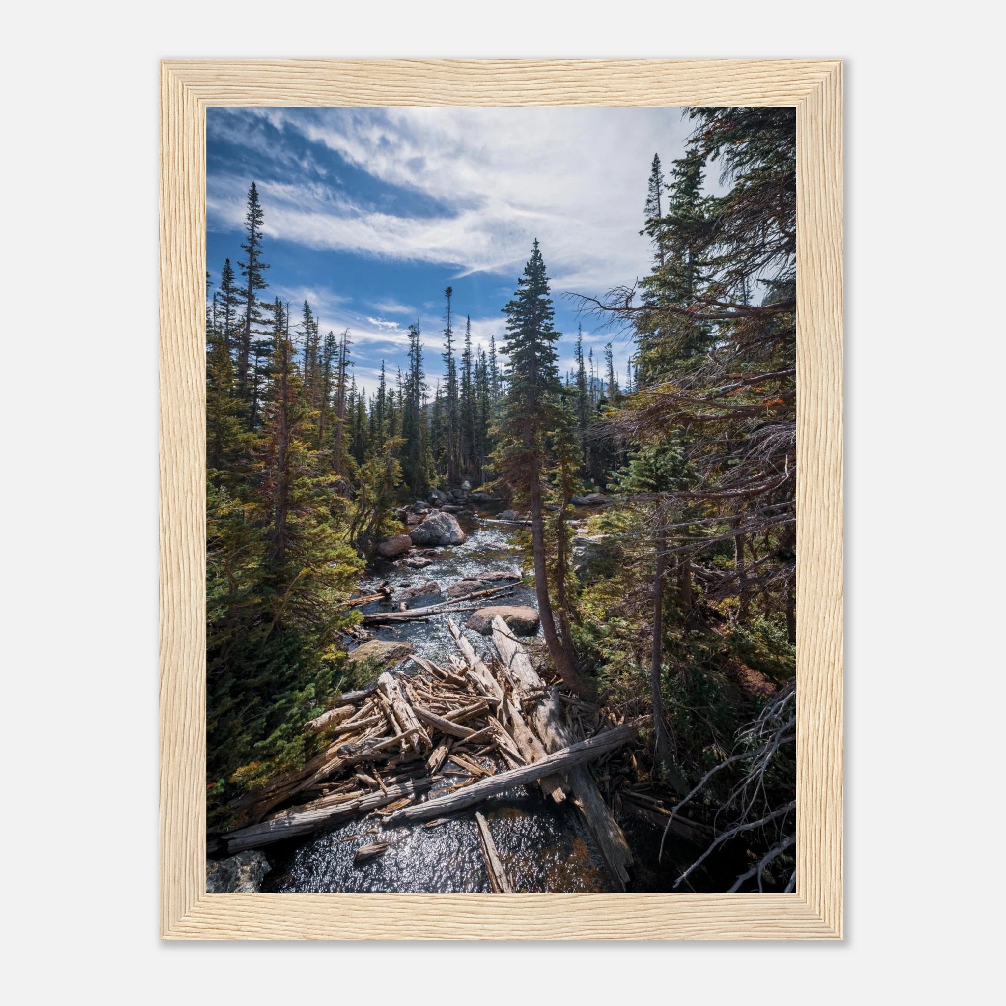 66acedaf-ac17-4eee-8231-2e1e0c31abc5