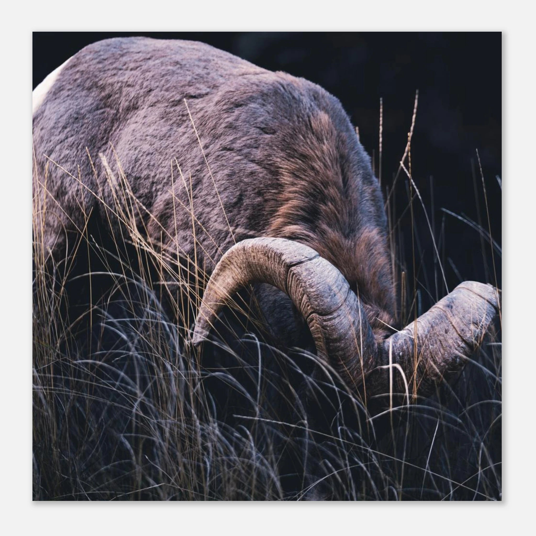 69c7d6de-4e8d-4724-8d66-8e13f98b59f0