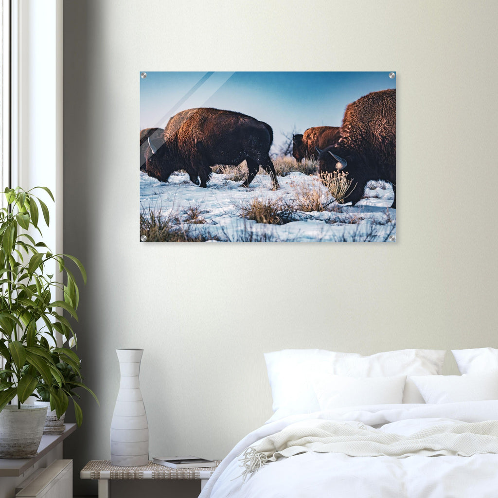 6ad2976c-344c-457f-a7ec-579866e66dc7