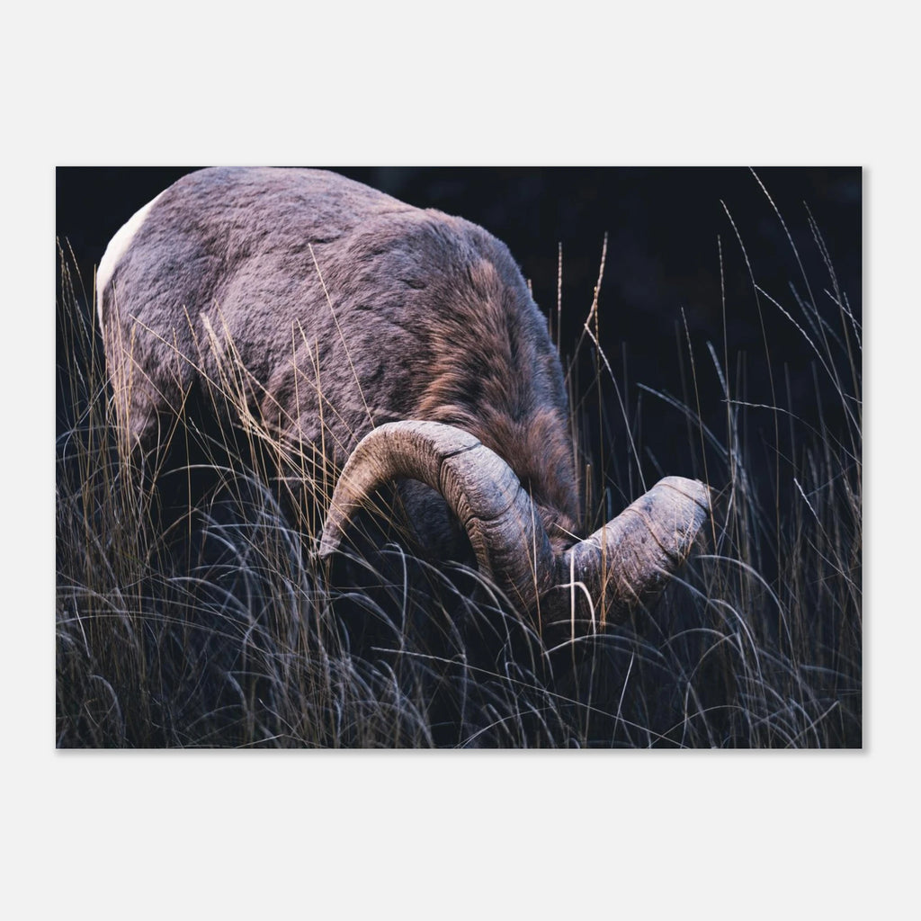 6c877d1a-646b-43a4-9c22-69324397bf4c