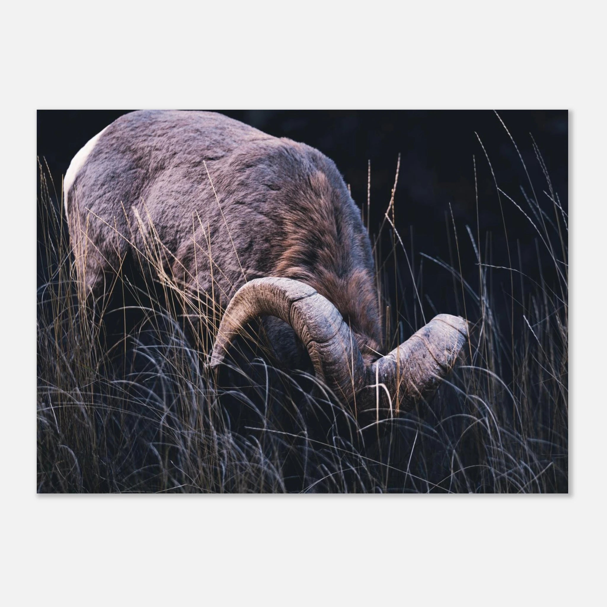 6c877d1a-646b-43a4-9c22-69324397bf4c