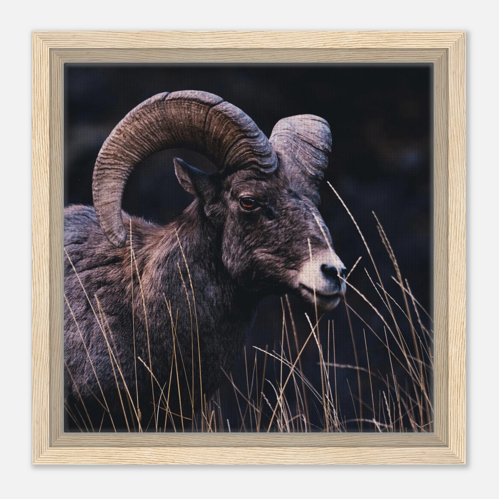 6d274128-edf8-4957-993c-bad6d4f40696